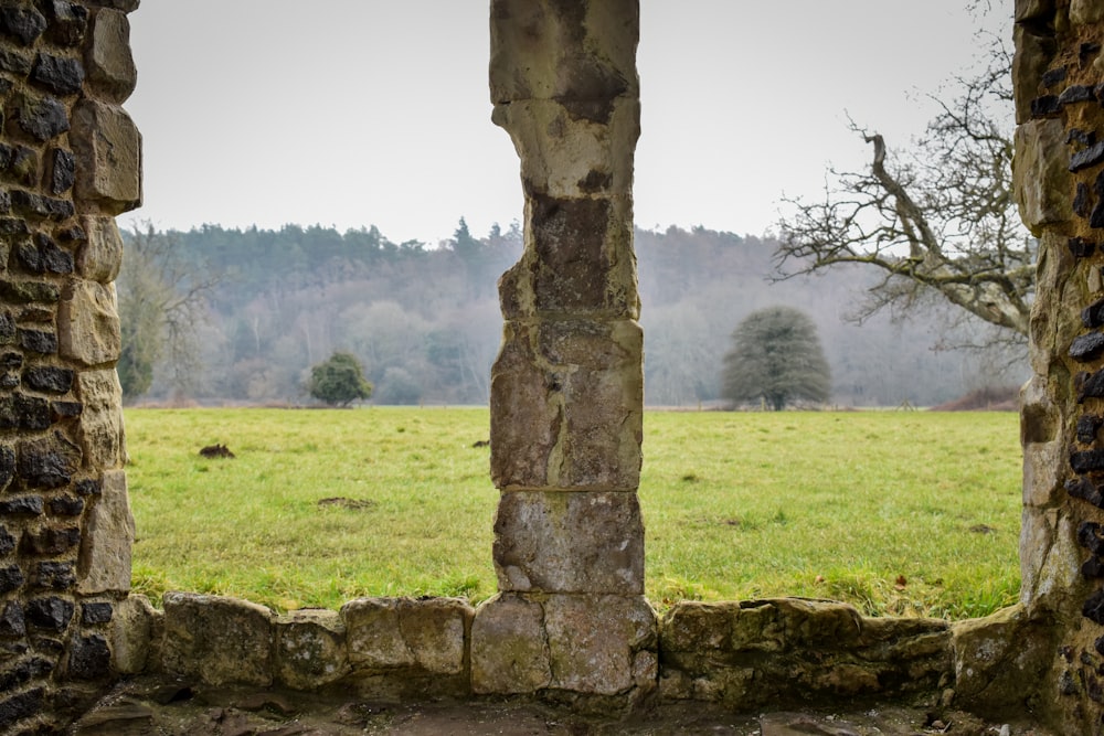 a view of a field through an old window