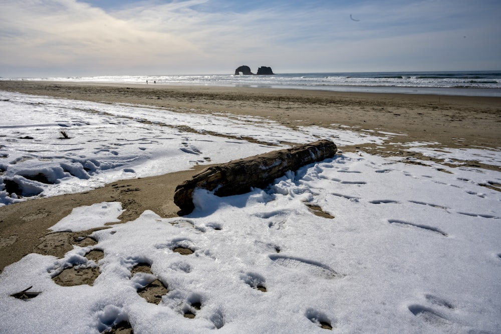 a log laying on a beach covered in snow