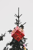 A festive holiday-themed gift box adorned with pine cones and red berries.