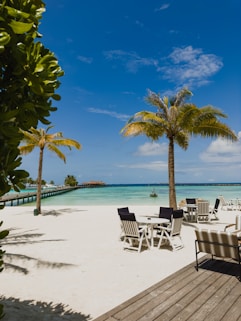 Palm trees line a sandy beach next to calm turquoise waters under a clear blue sky. Several white tables and chairs are arranged on wooden decking, providing a relaxing spot to enjoy the ocean view. A boardwalk extends into the distance over the water, leading to a thatched-roof building.