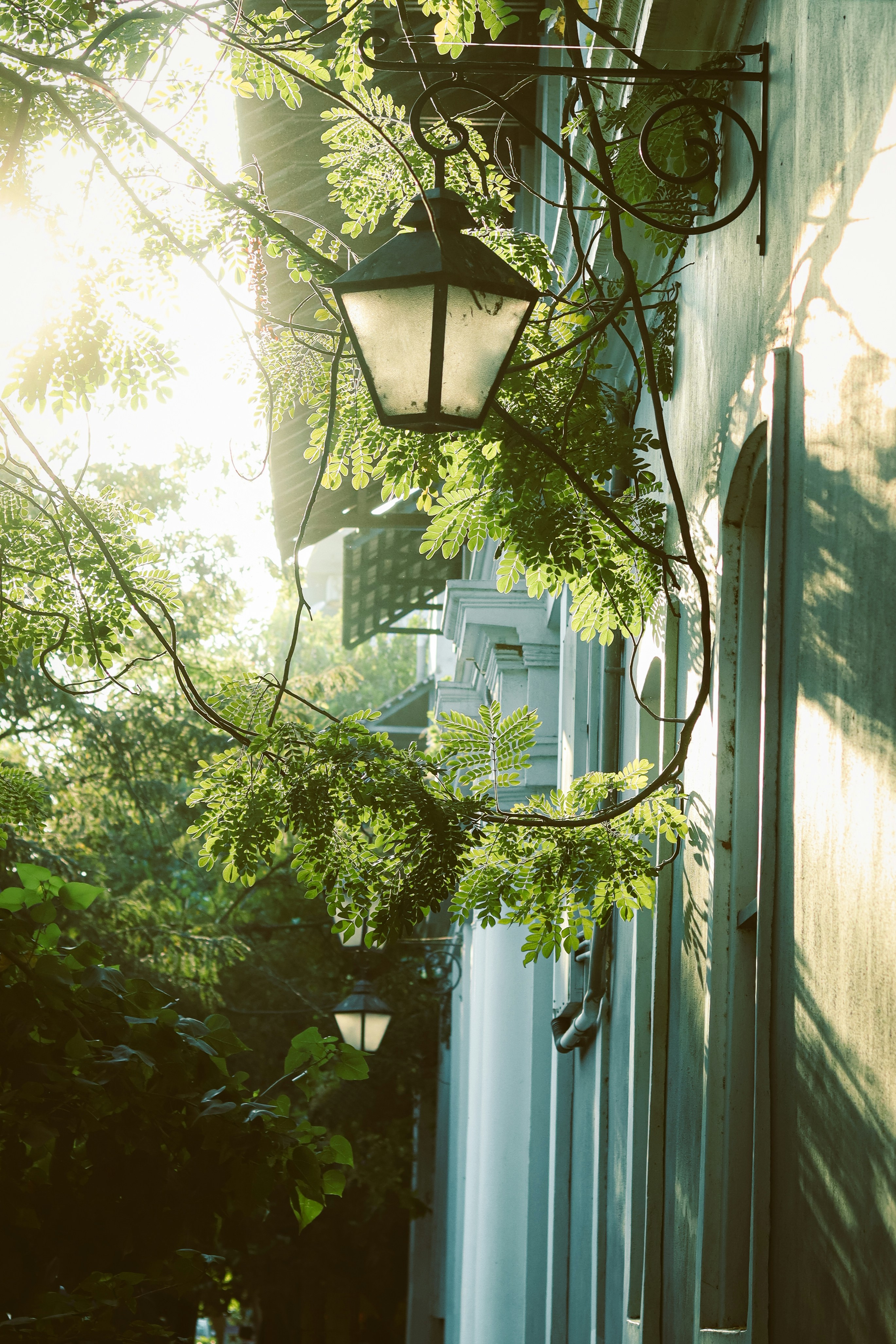 Photo by dhilipantony