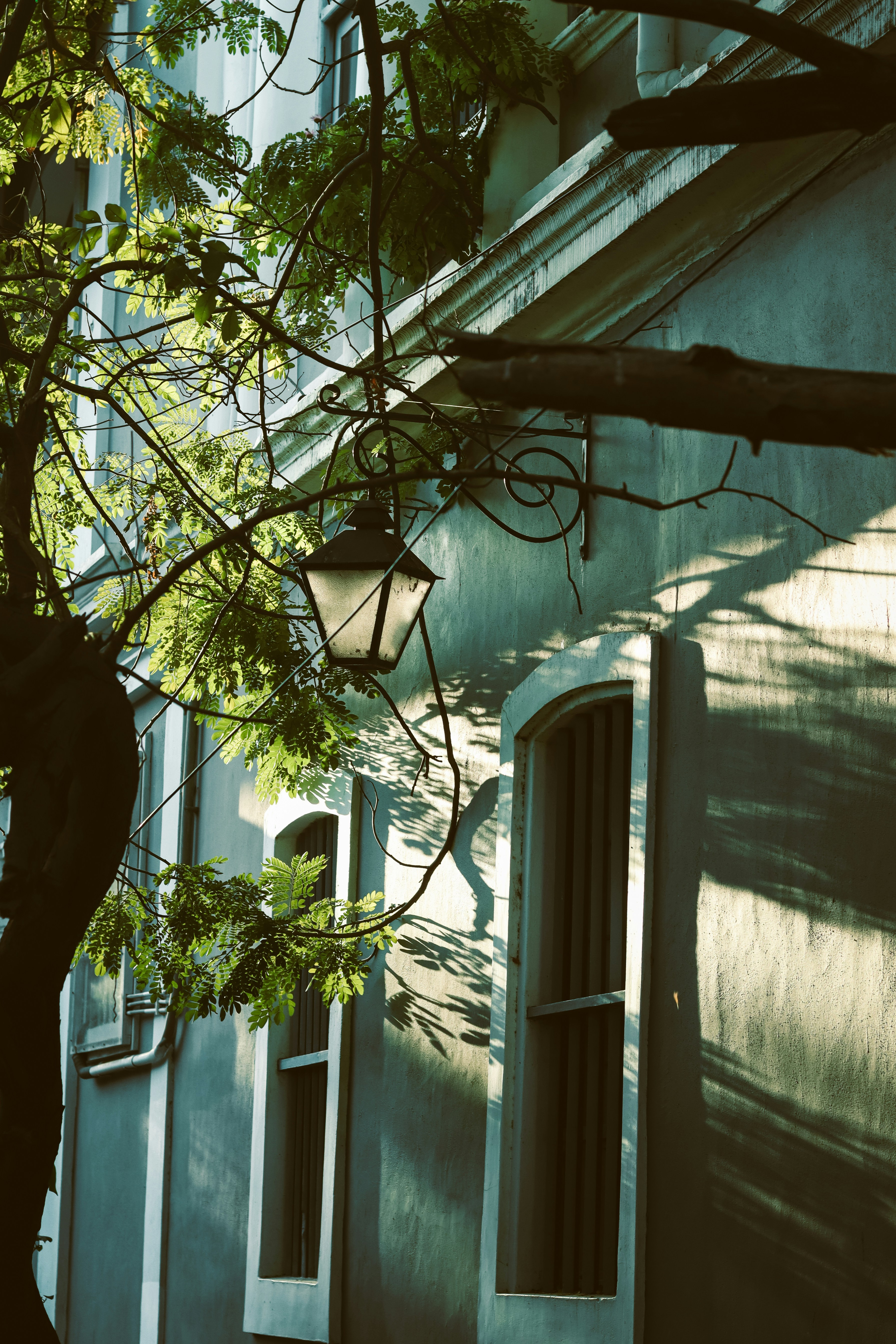 Photo by dhilipantony