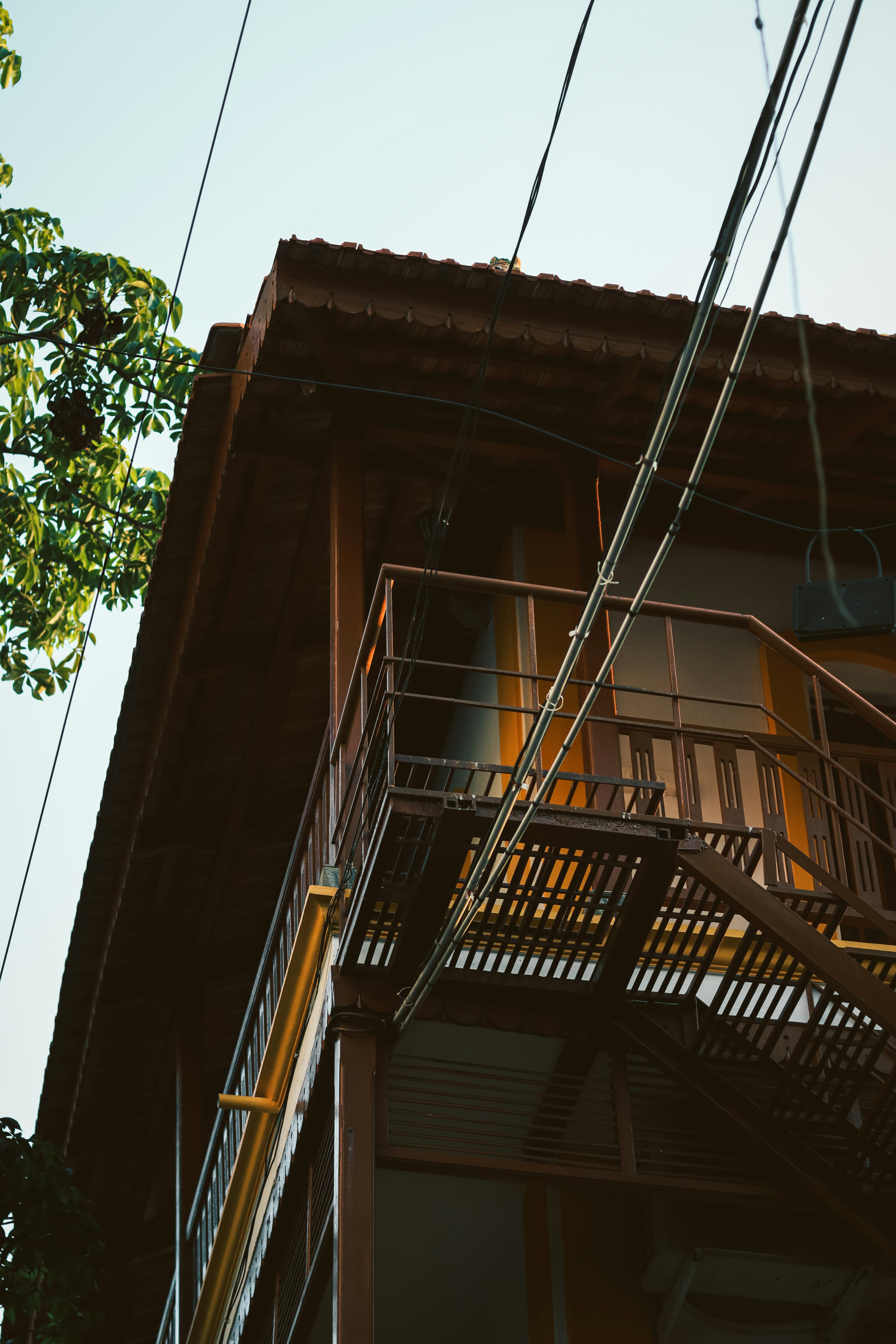 Photo by dhilipantony