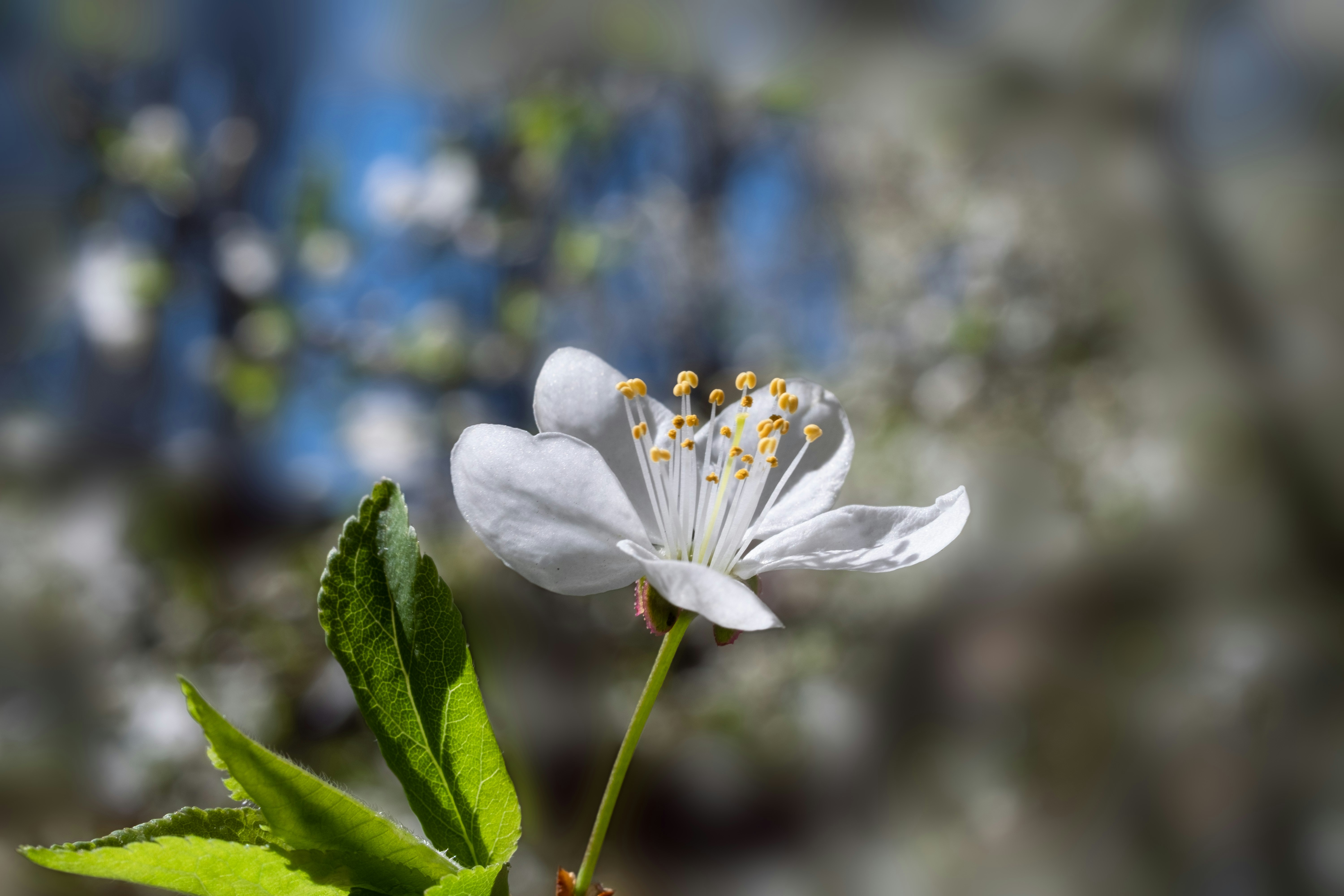 Photo by sevencolors