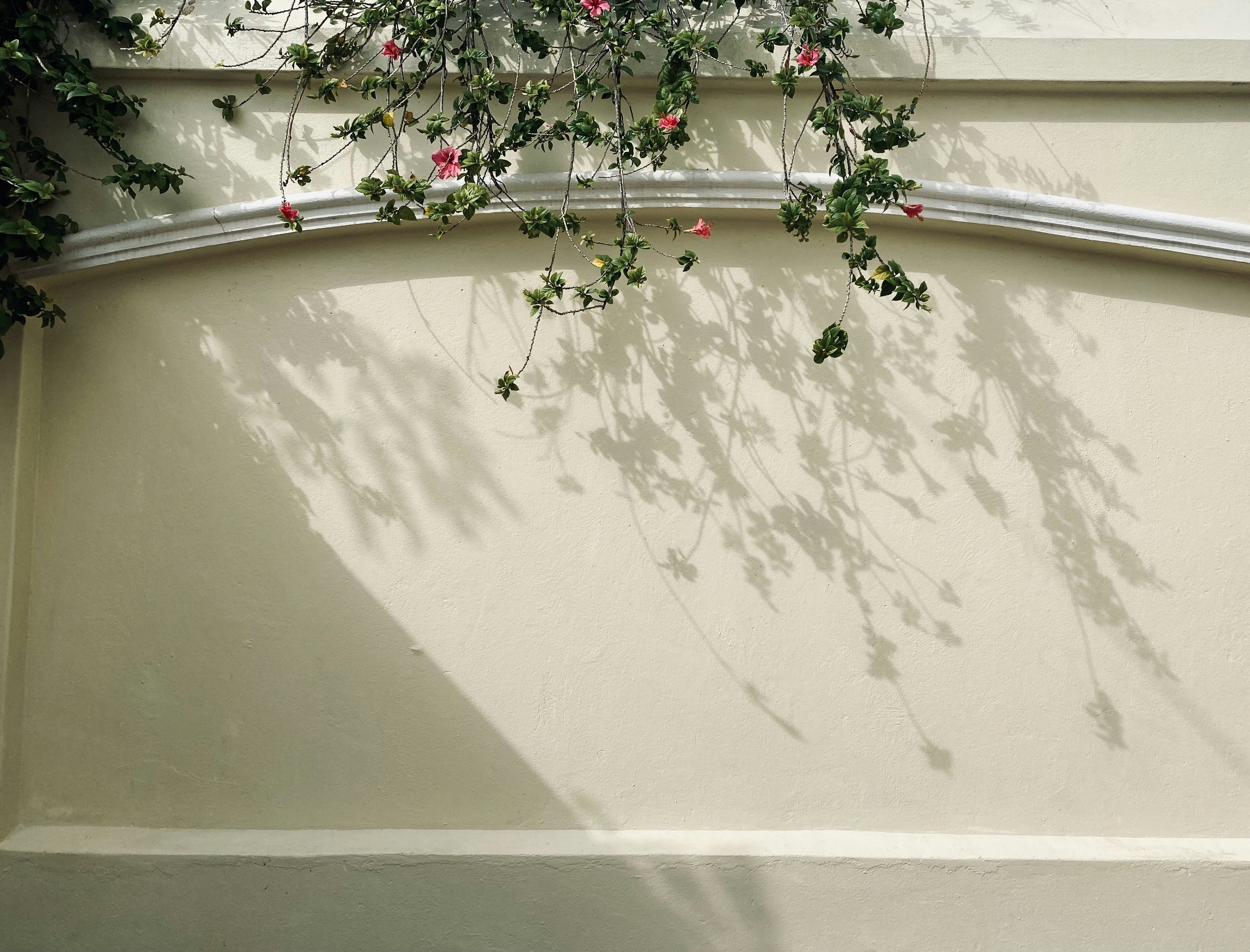 Photo by aaliyah_ahmed