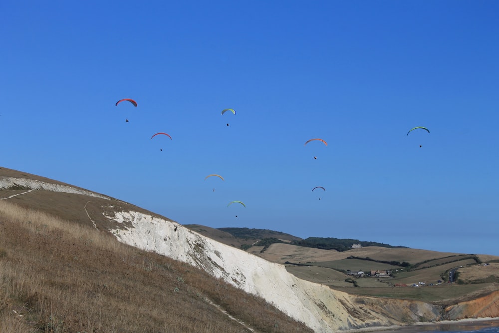 a group of people flying kites on top of a hill