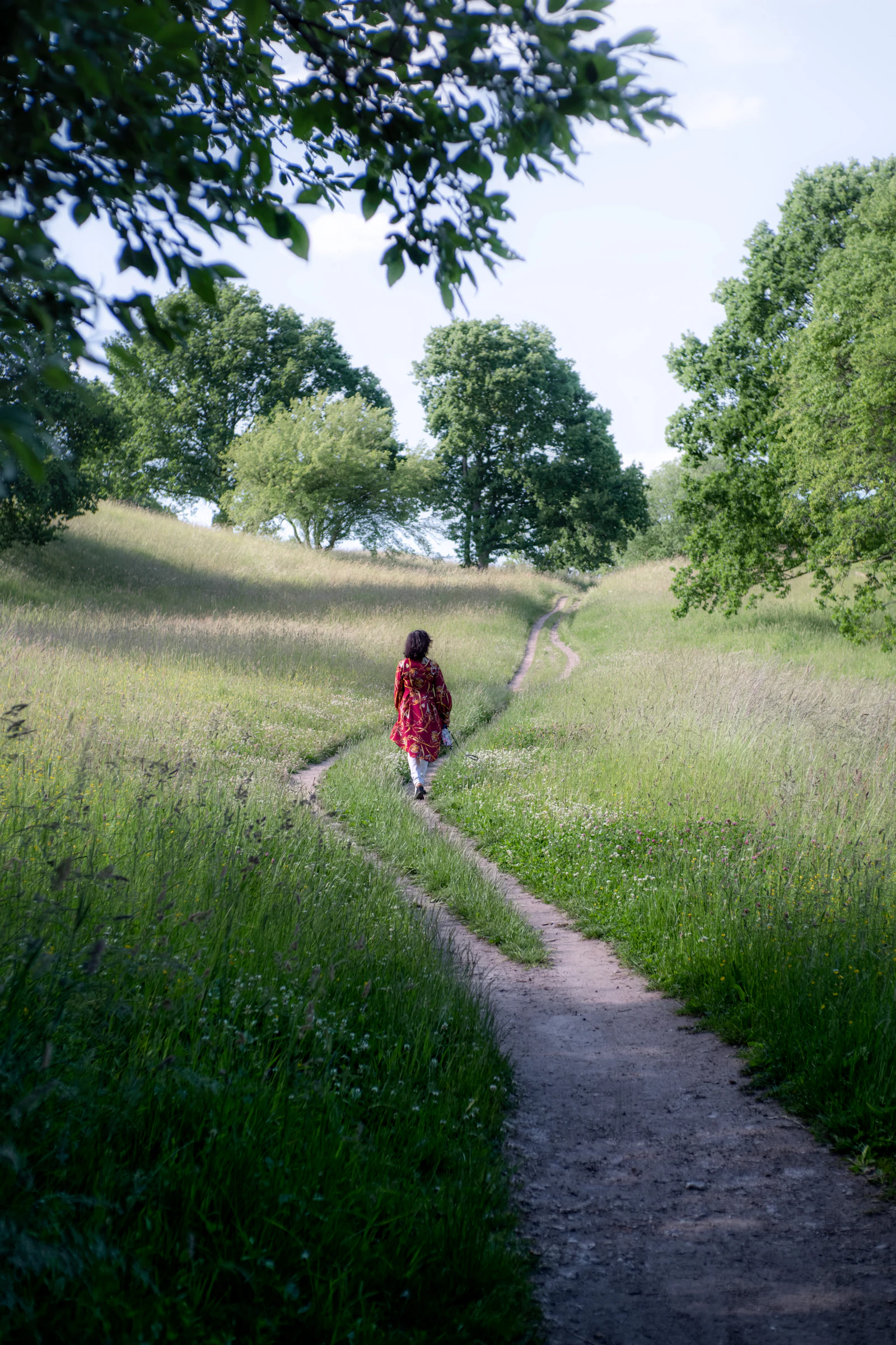 A woman walking down a path through a lush green field under tall trees
