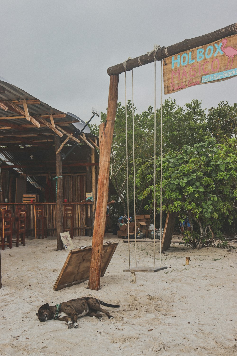 a dog laying on the ground next to a wooden swing