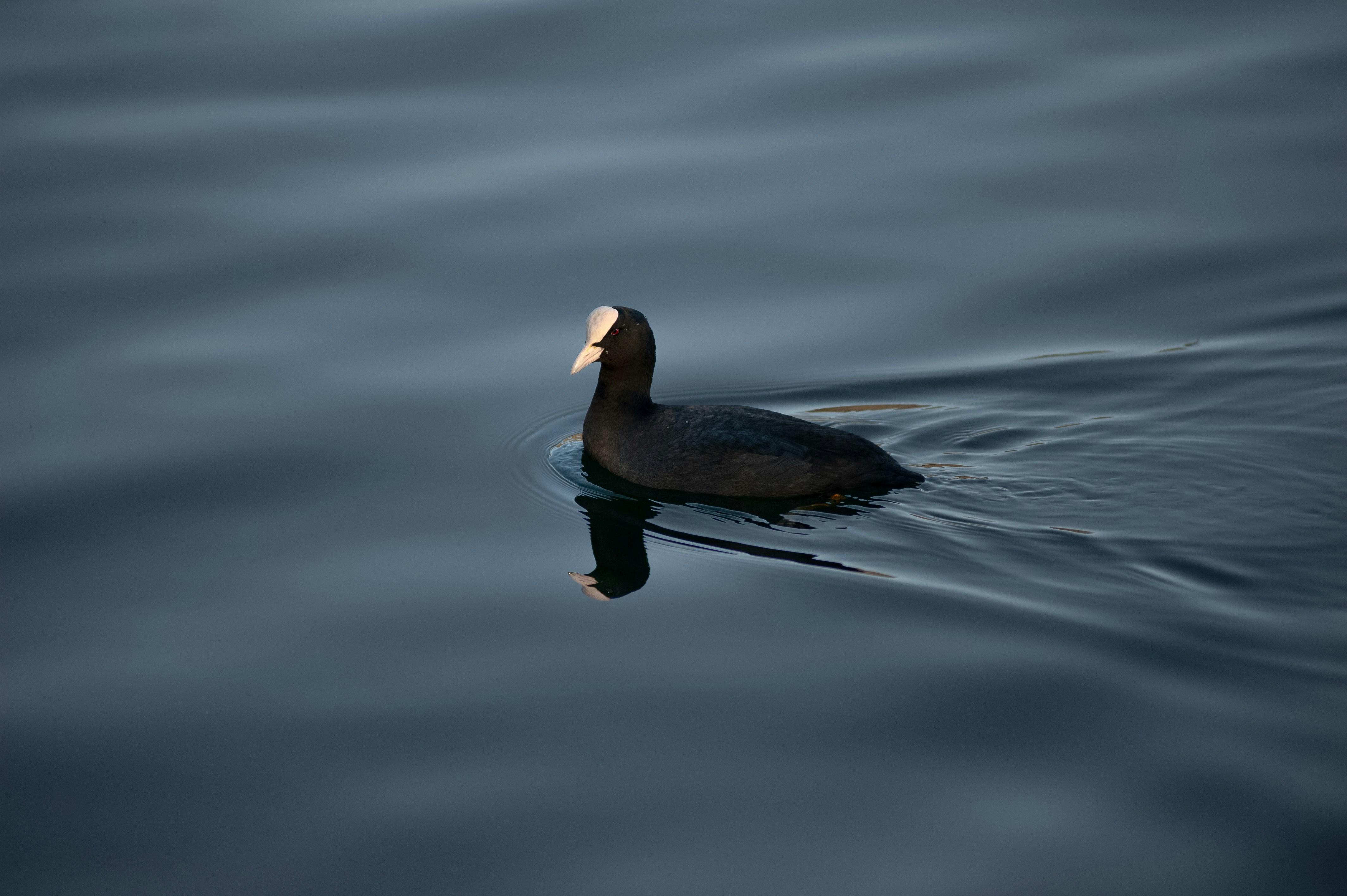 Photo by 12100_photography