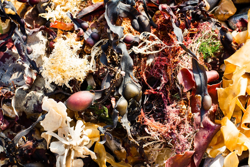 a close up of a pile of dirt and plants