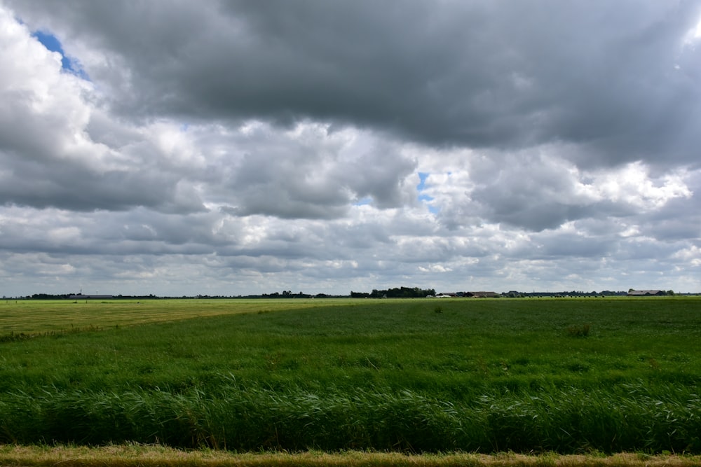 a large field of green grass under a cloudy sky