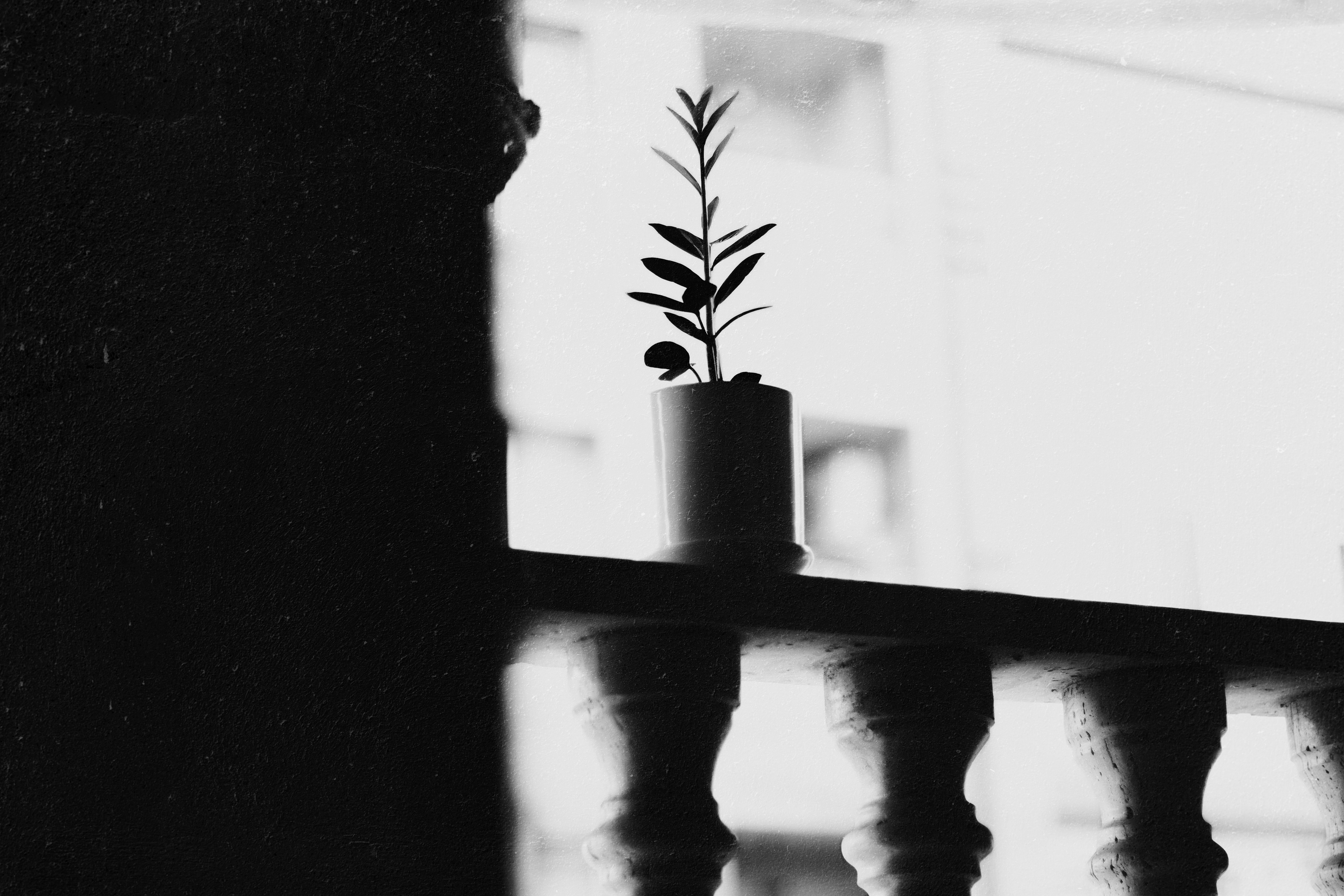 Photo by mahdibafande