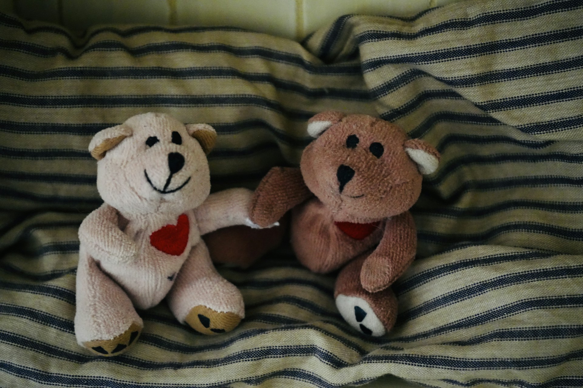 two teddy bears sitting on top of a bed