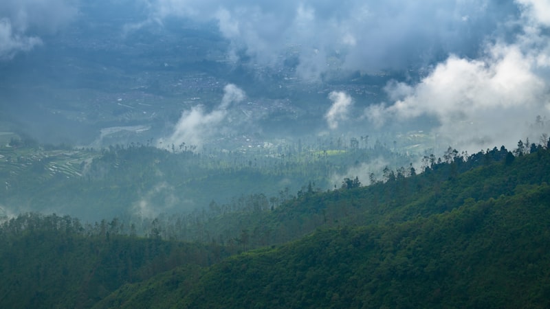 jalur pendakian gunung Merbabu via Selo menuju sabana