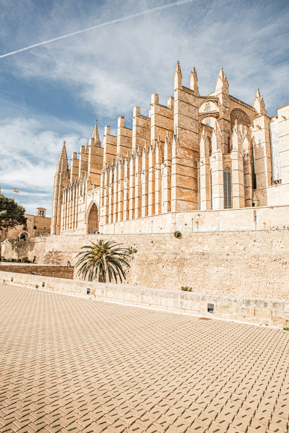 a large building with a palm tree in front of it