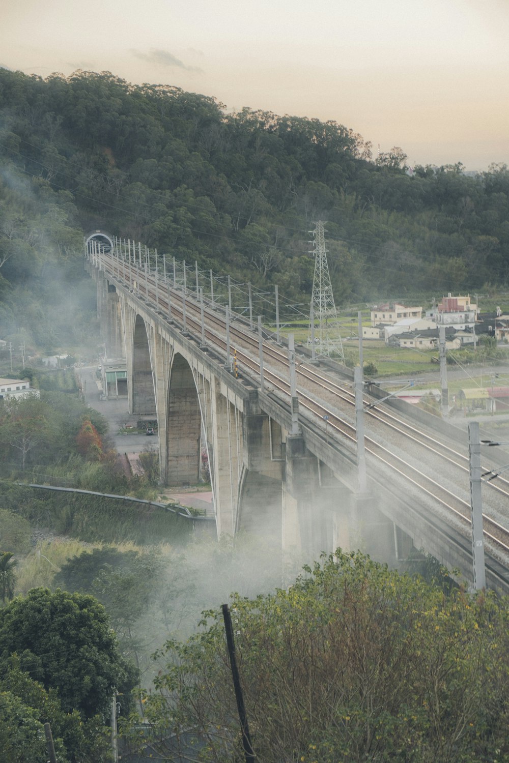 a train traveling over a bridge over a lush green forest