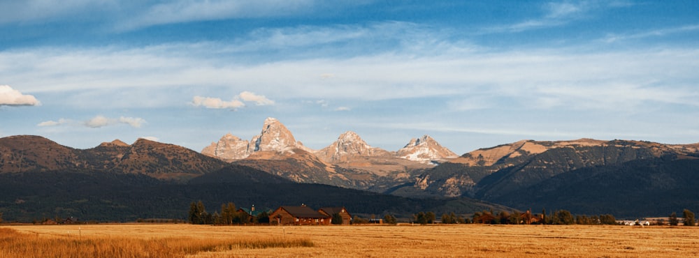 a large field with a mountain range in the background
