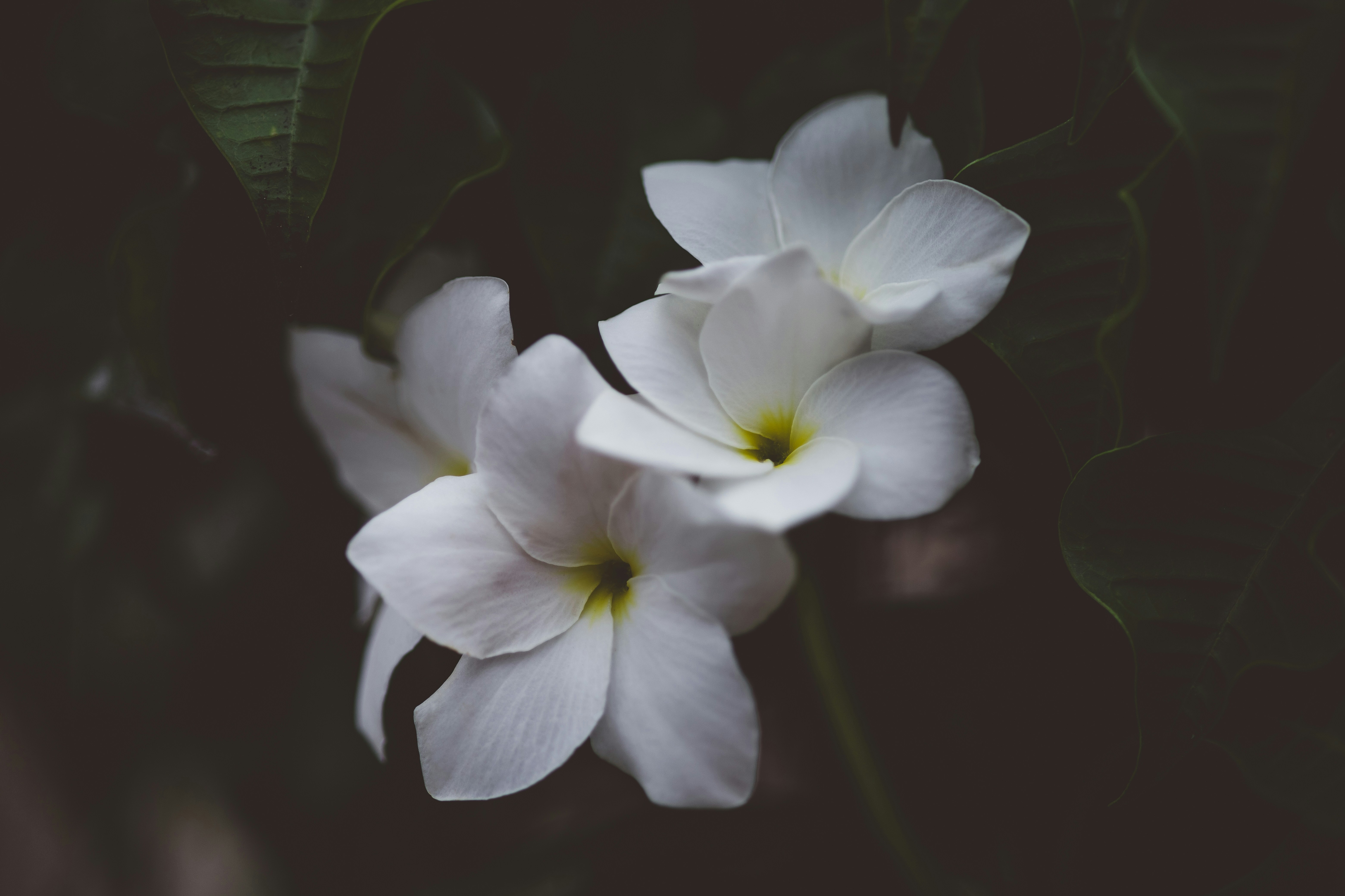 Photo by rrodriguesim