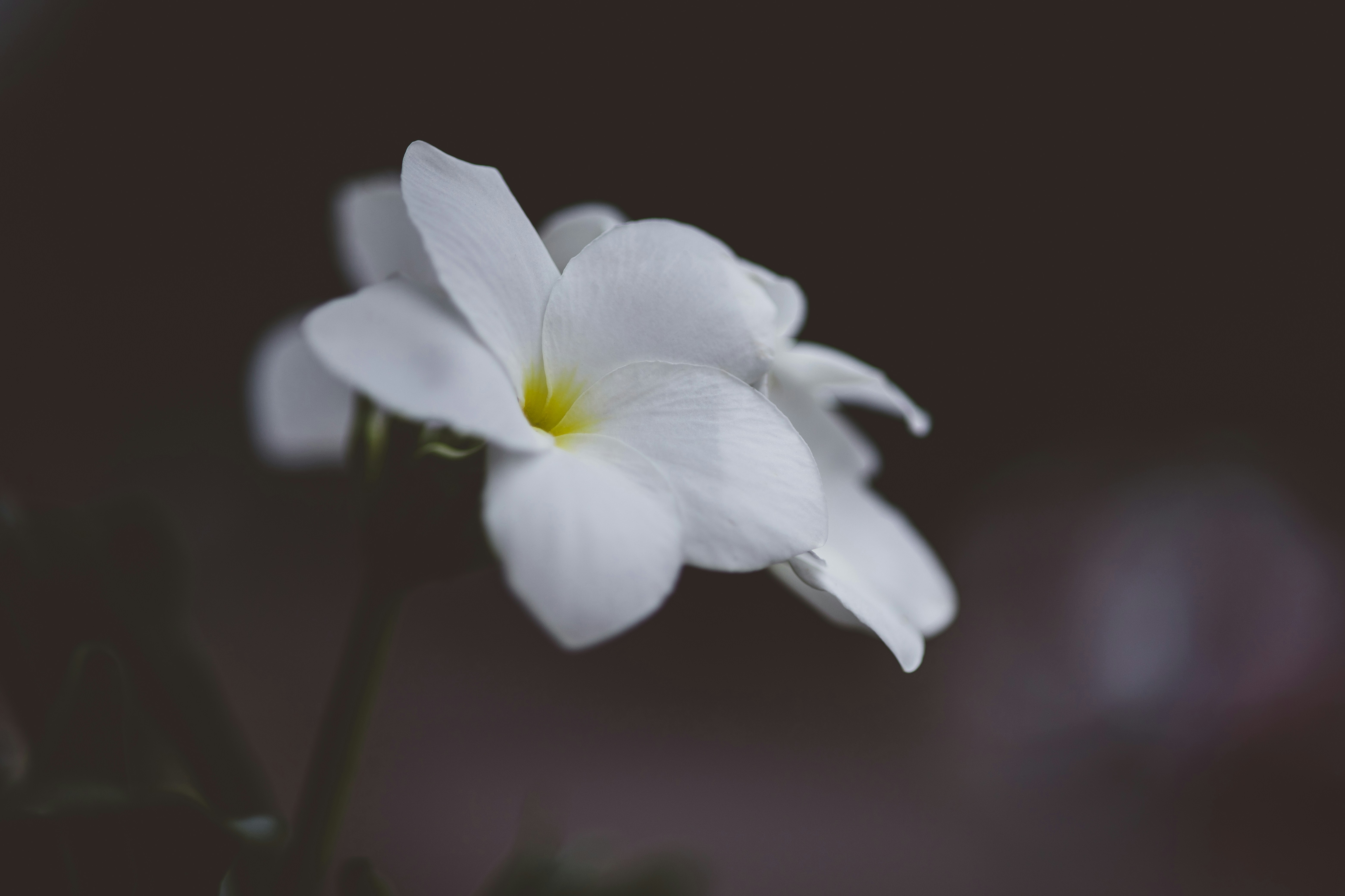 Photo by rrodriguesim