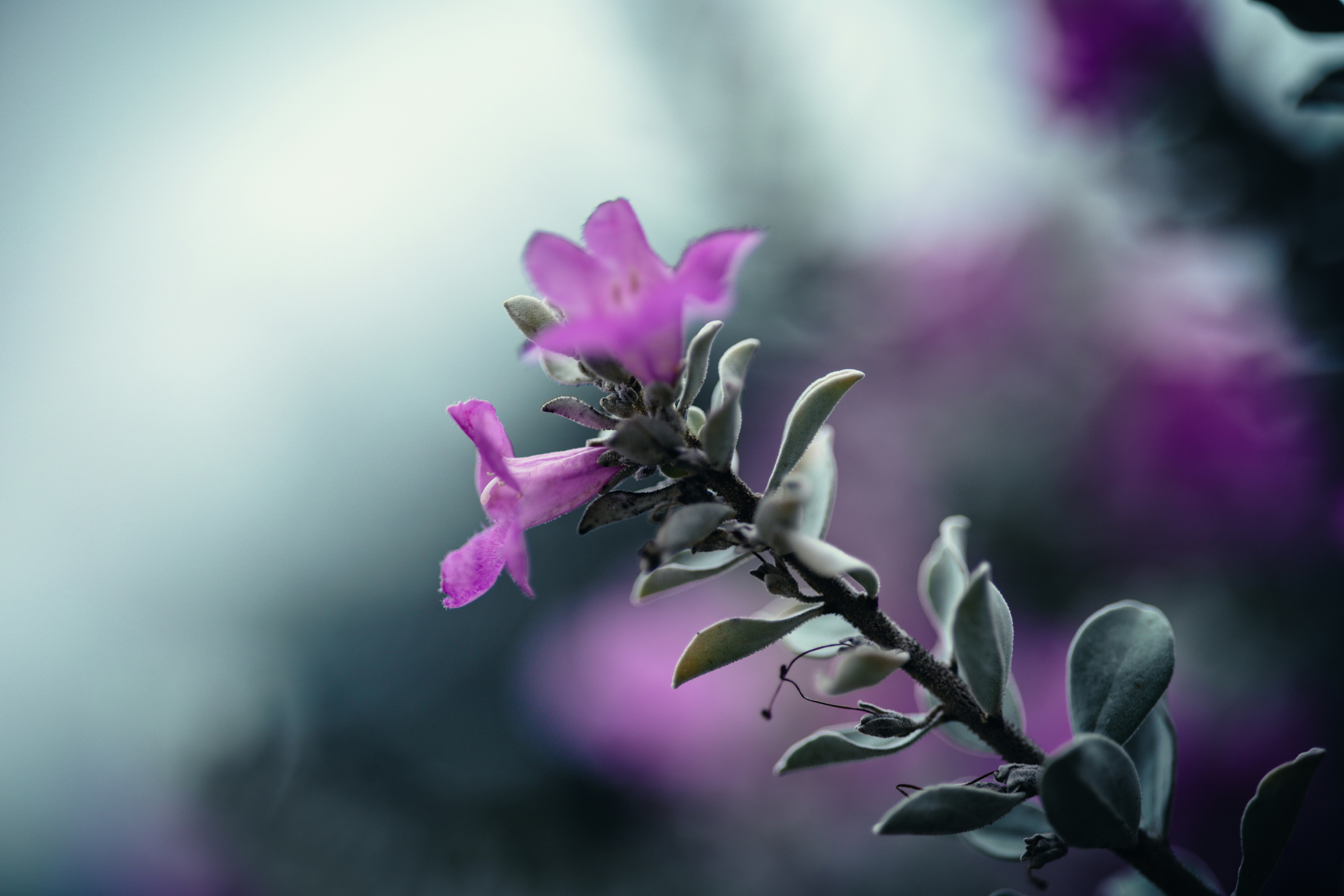 Photo by rrodriguesim