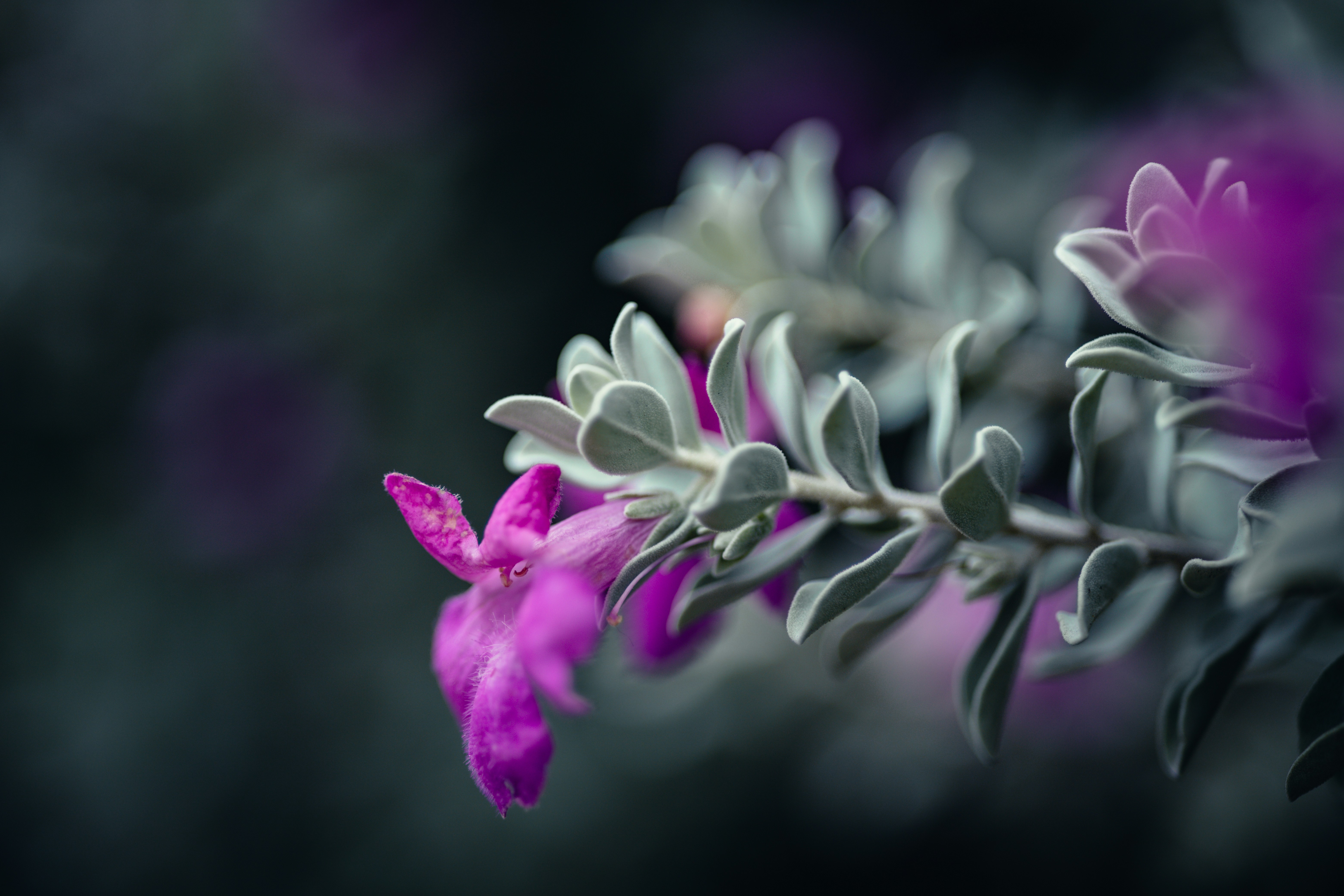 Photo by rrodriguesim