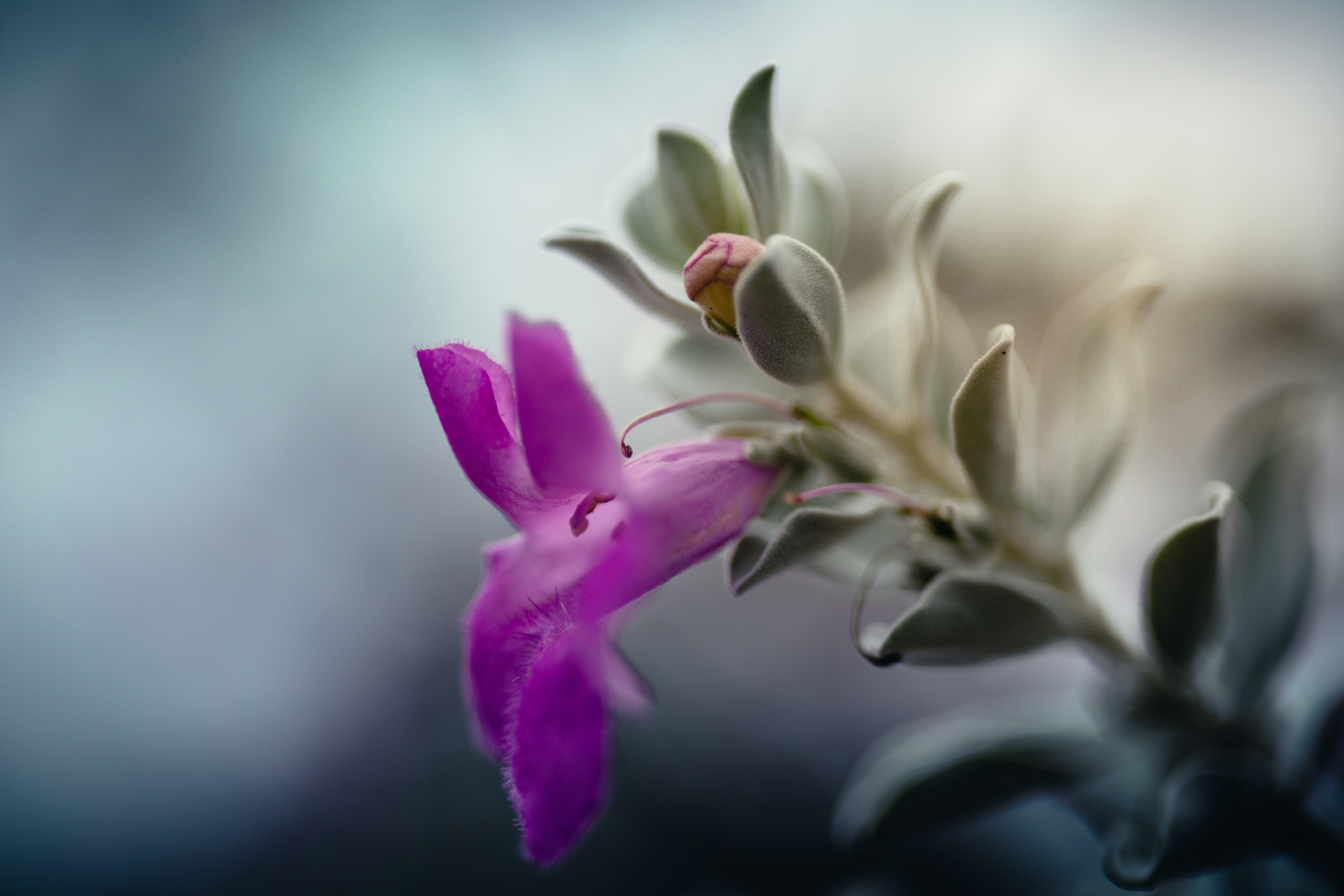 Photo by rrodriguesim