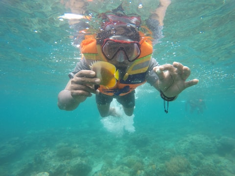 A person is snorkeling underwater, wearing a life jacket and a snorkel mask. The individual is reaching out toward a small fish, surrounded by clear, turquoise water with visible coral reefs below.