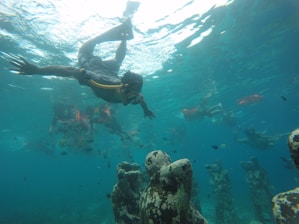 a man swimming in the ocean with a lot of fish