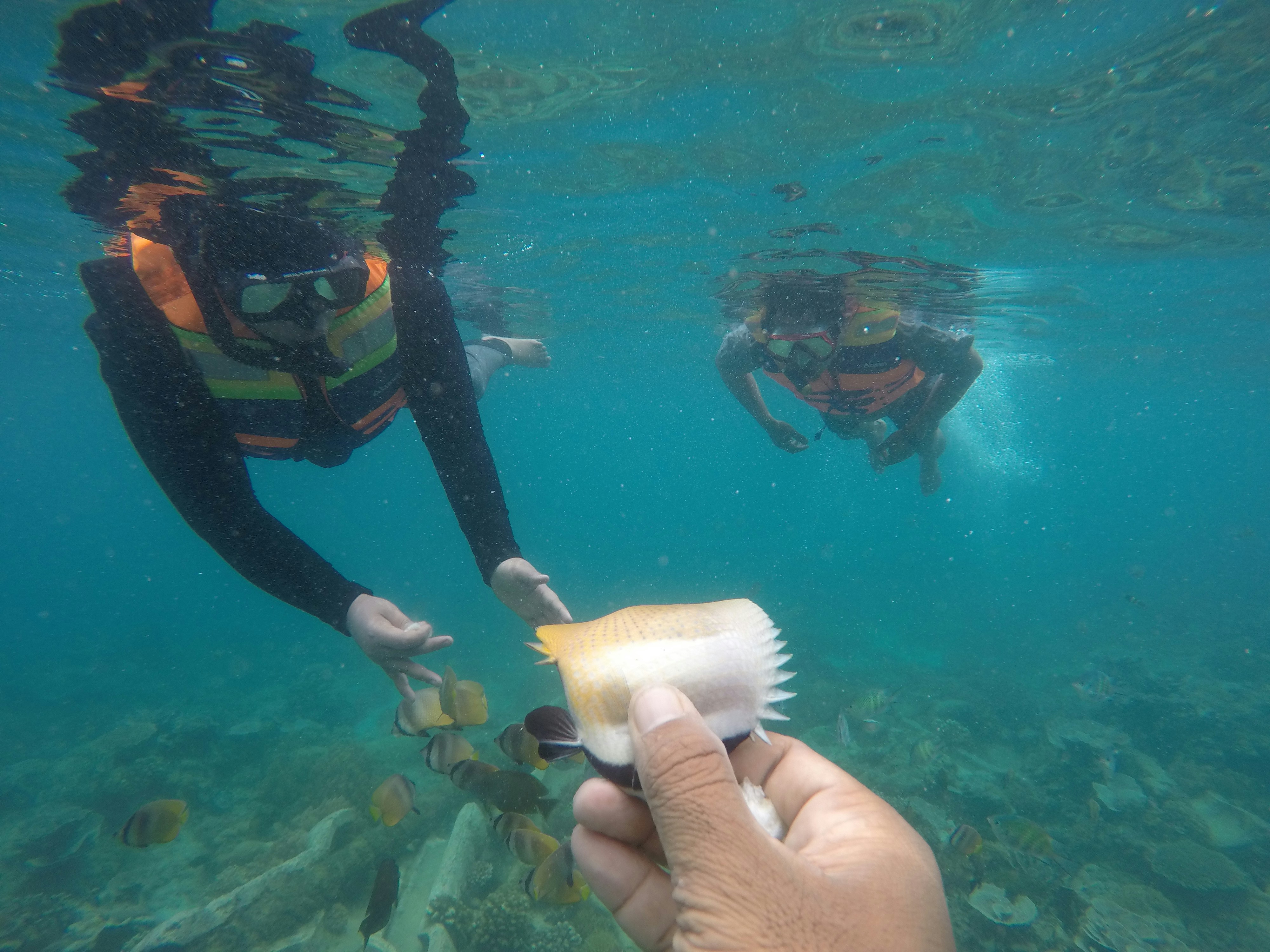 a person holding a toothbrush in the water