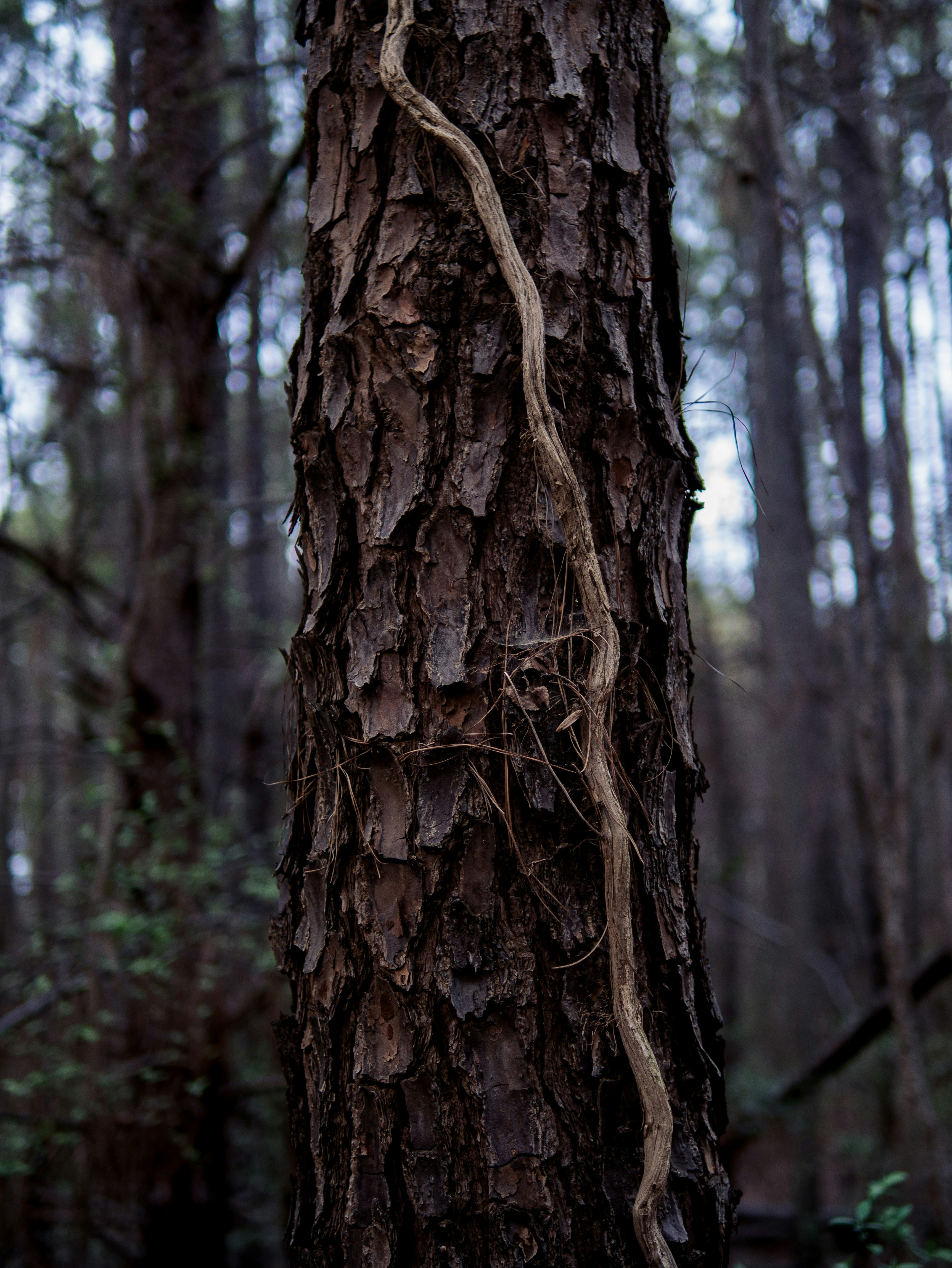 Photo by thefulnessthereof