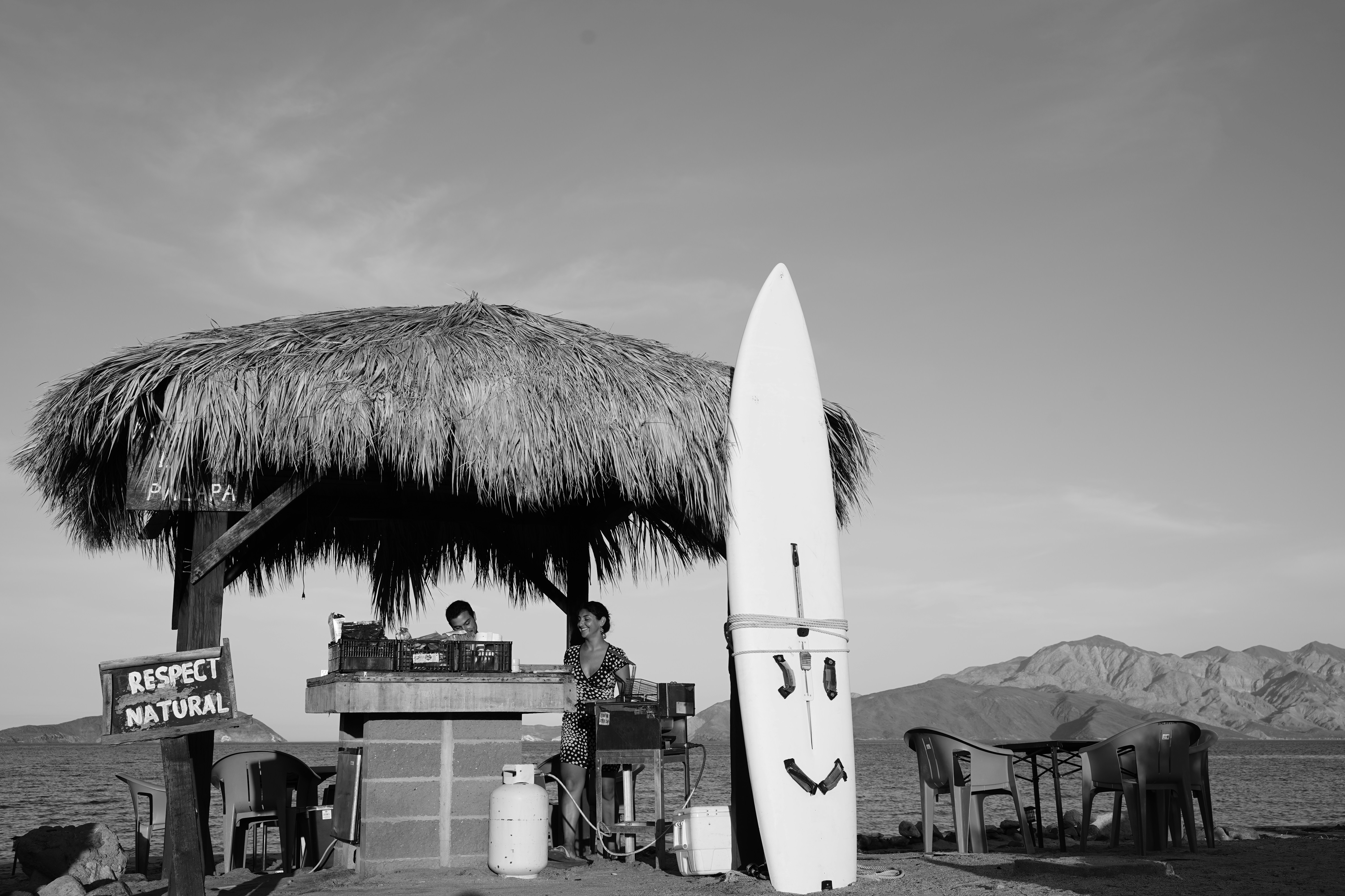 Surf & Friends