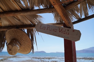 A straw hat hangs from a wooden structure with a thatched roof overlooking the ocean. A wooden sign with the words 'La Pura Vida' is attached to the structure. The background features a calm blue sea and distant mountains.