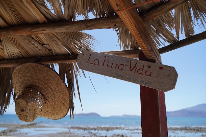 A straw hat hangs from a wooden structure with a thatched roof overlooking the ocean. A wooden sign with the words 'La Pura Vida' is attached to the structure. The background features a calm blue sea and distant mountains.