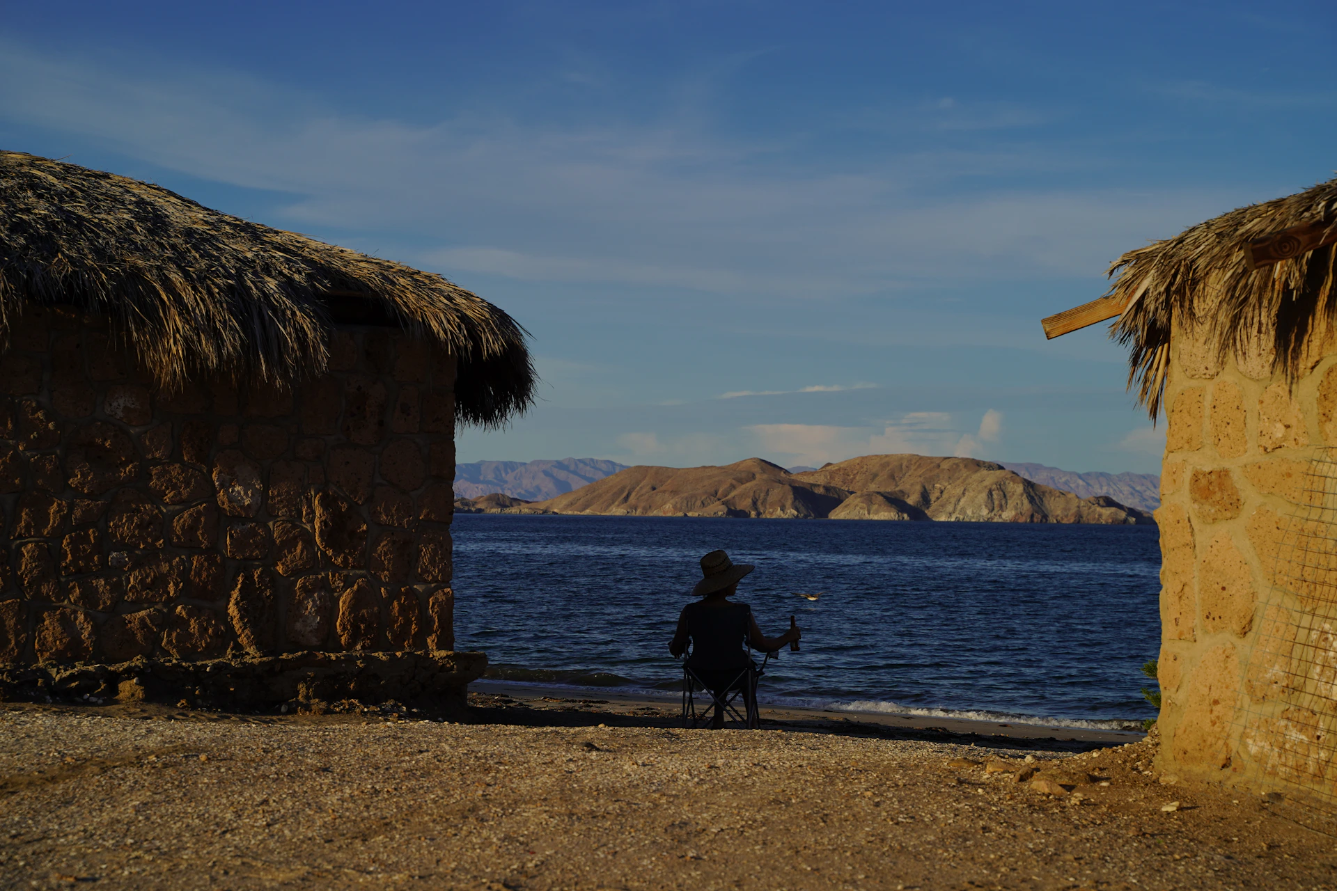 a man riding a horse next to a body of water