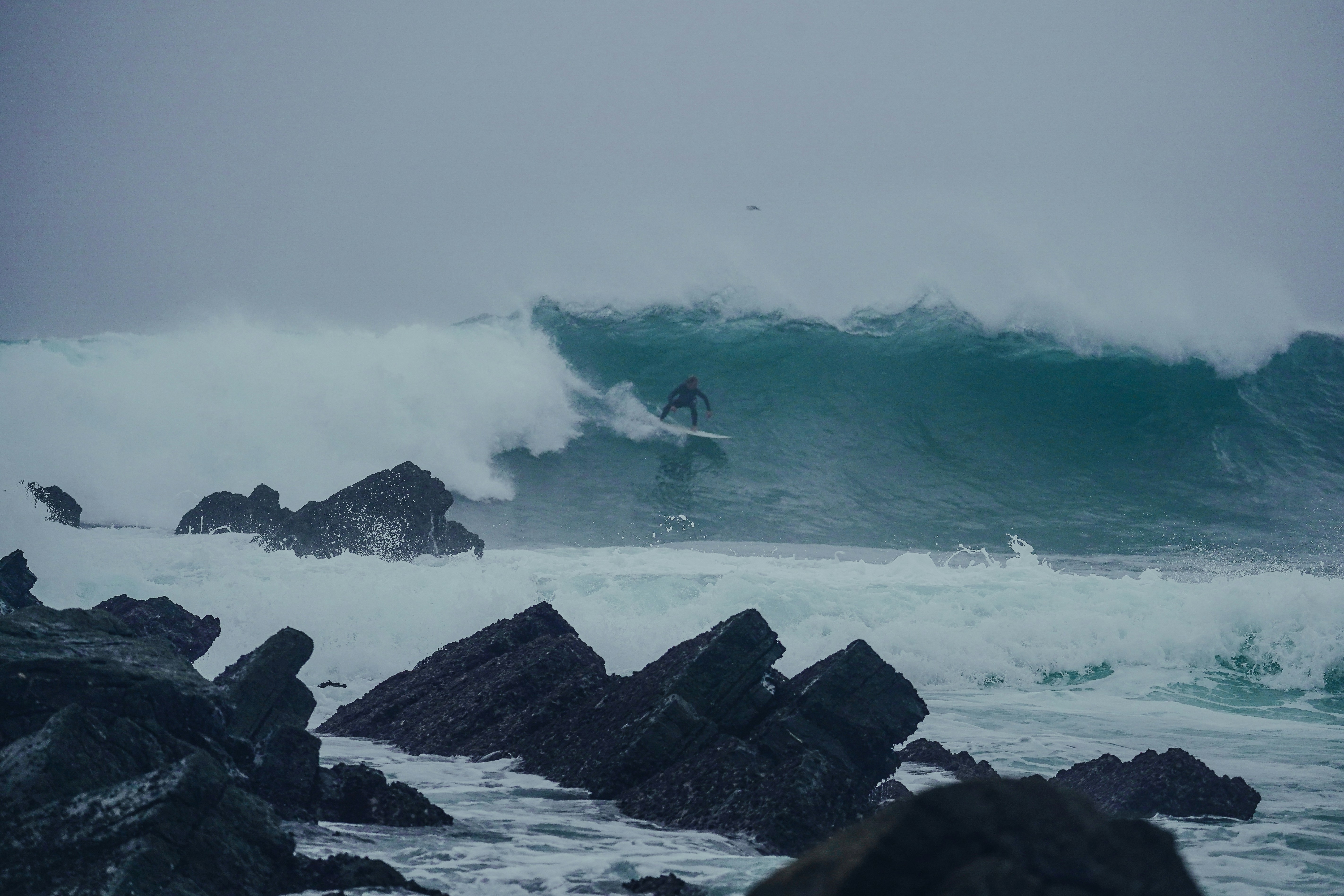 Photo by tinorischawy