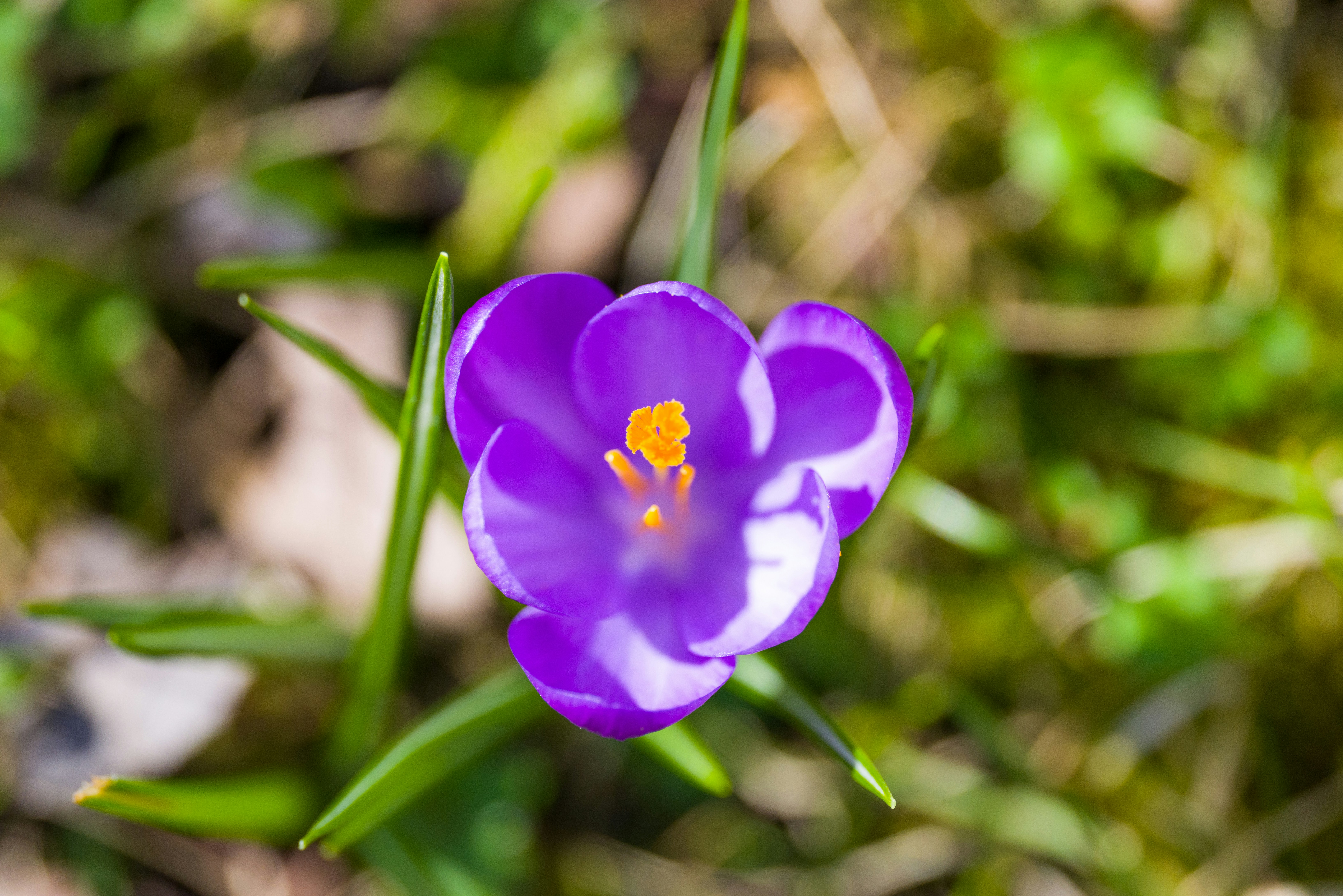 Photo by georgeiermann