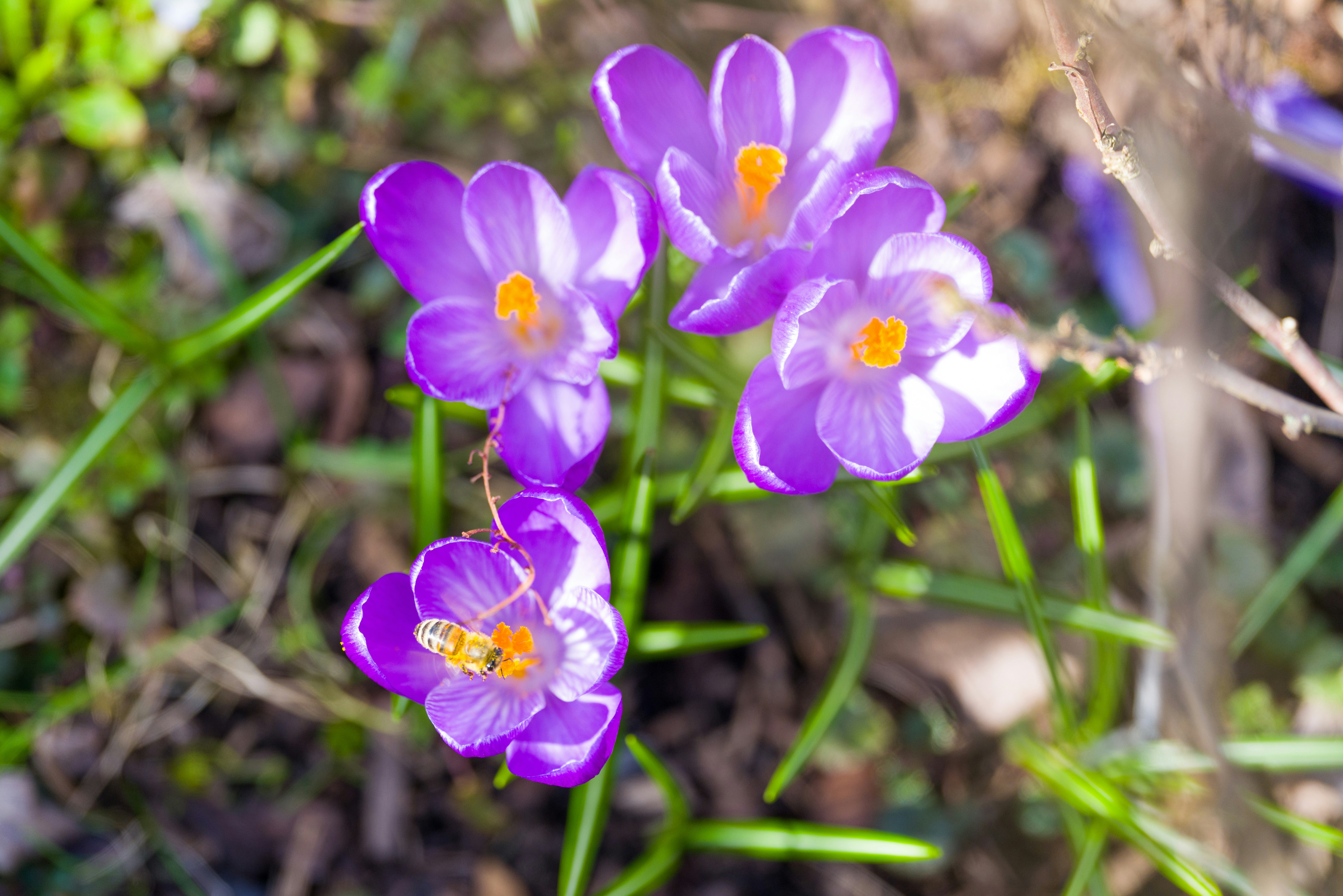 Photo by georgeiermann