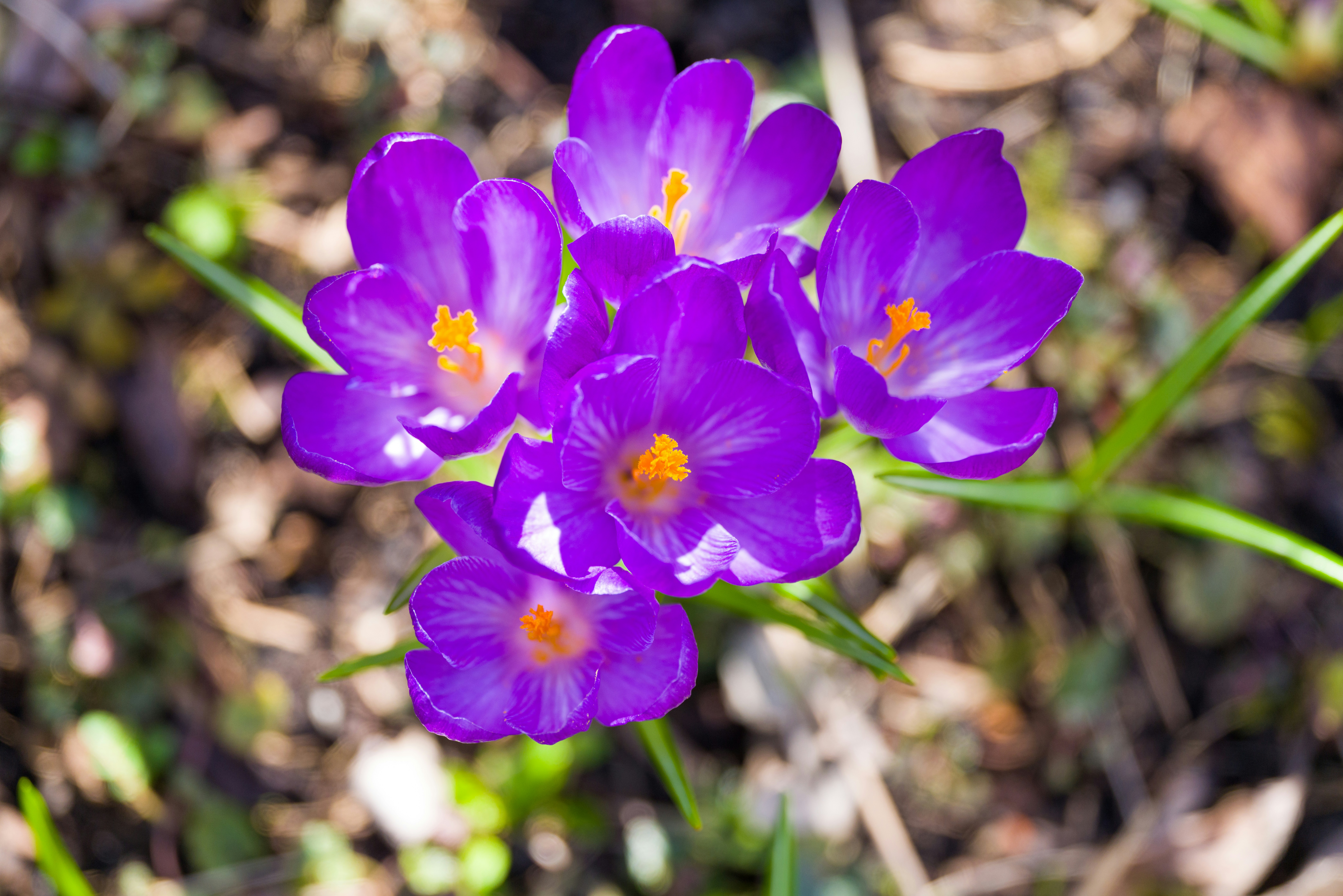 Photo by georgeiermann