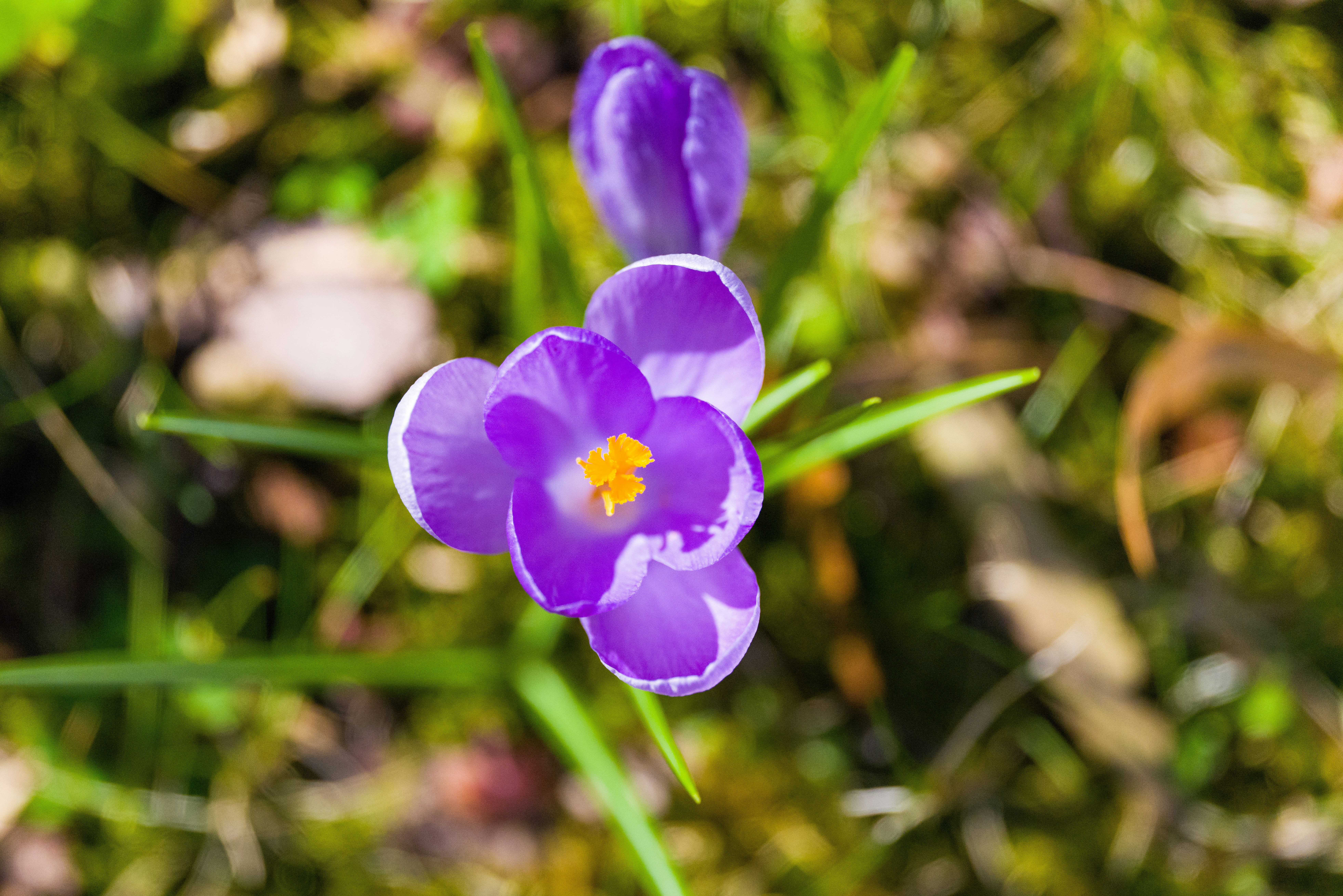 Photo by georgeiermann