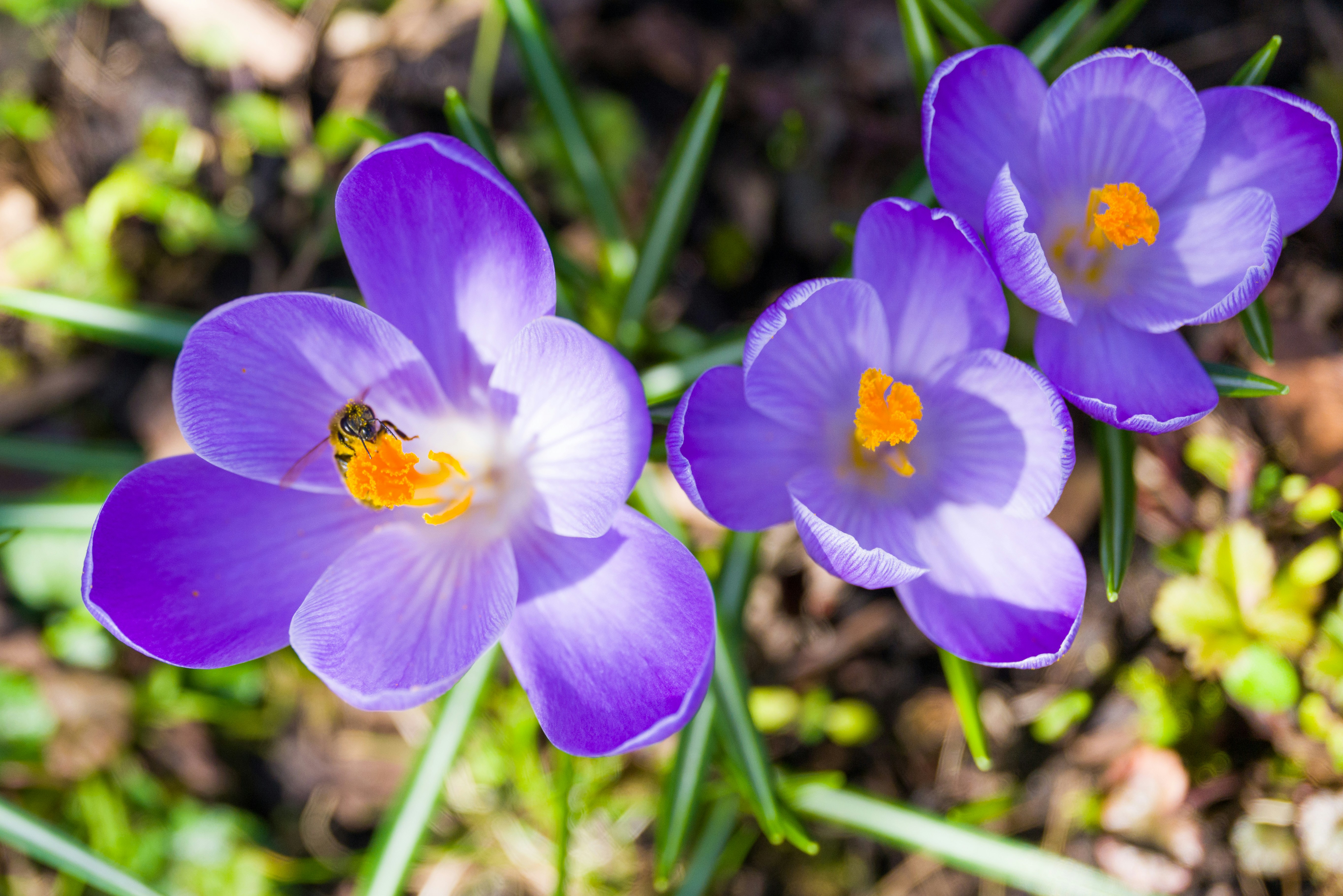 Photo by georgeiermann