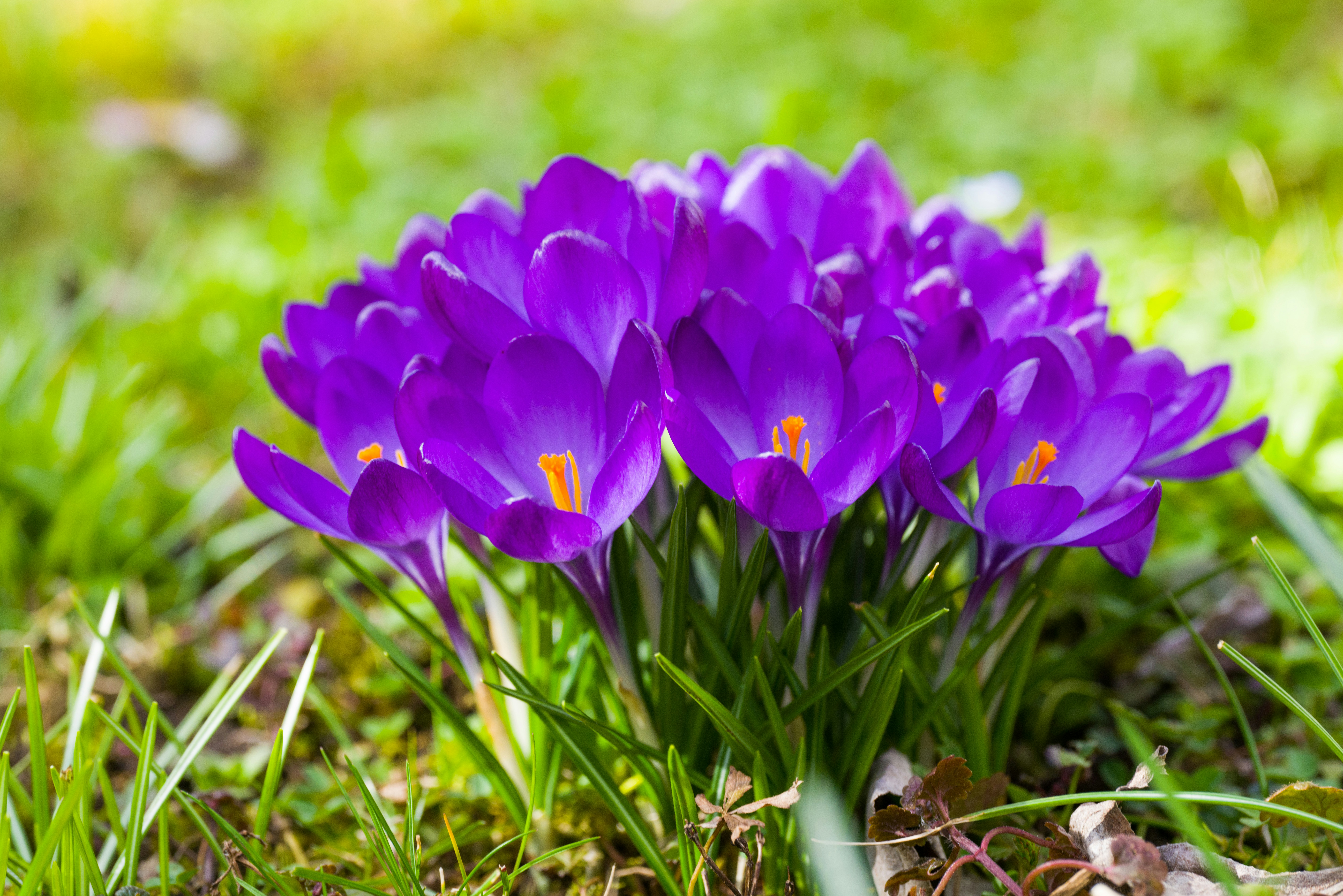 Photo by georgeiermann