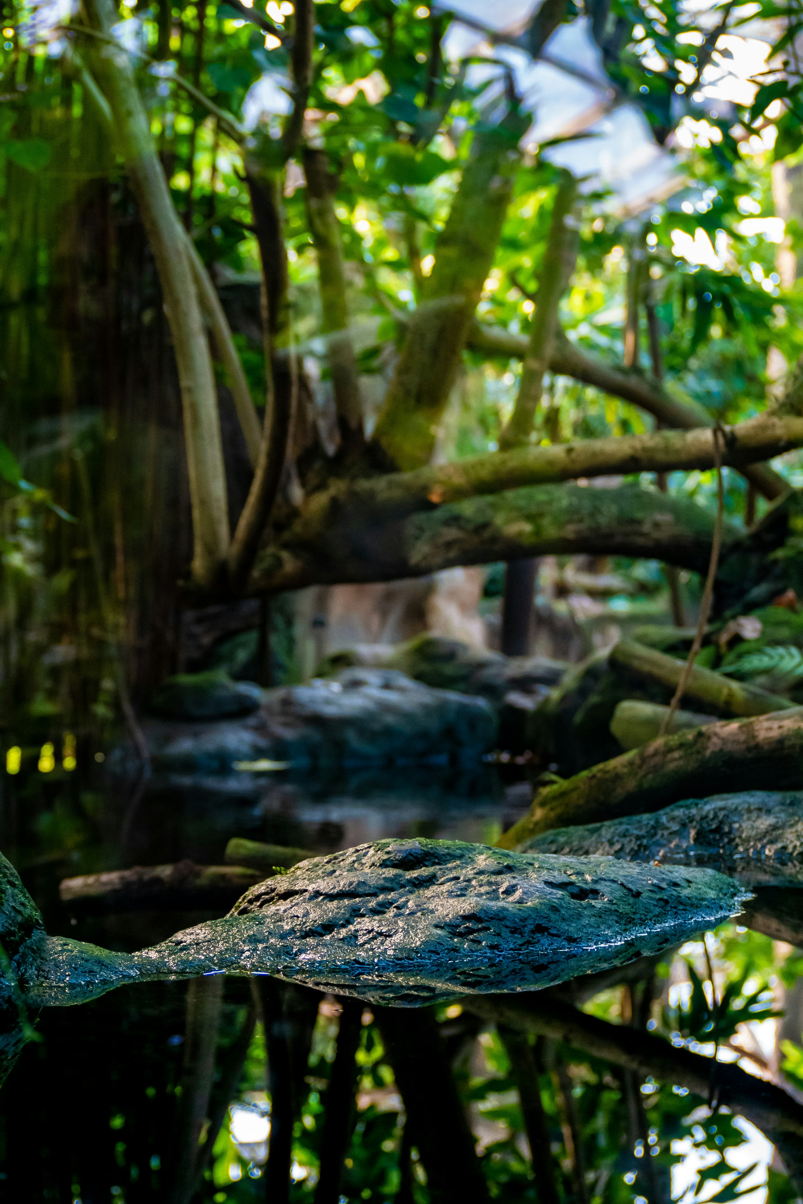 Photo by bilderjaeger