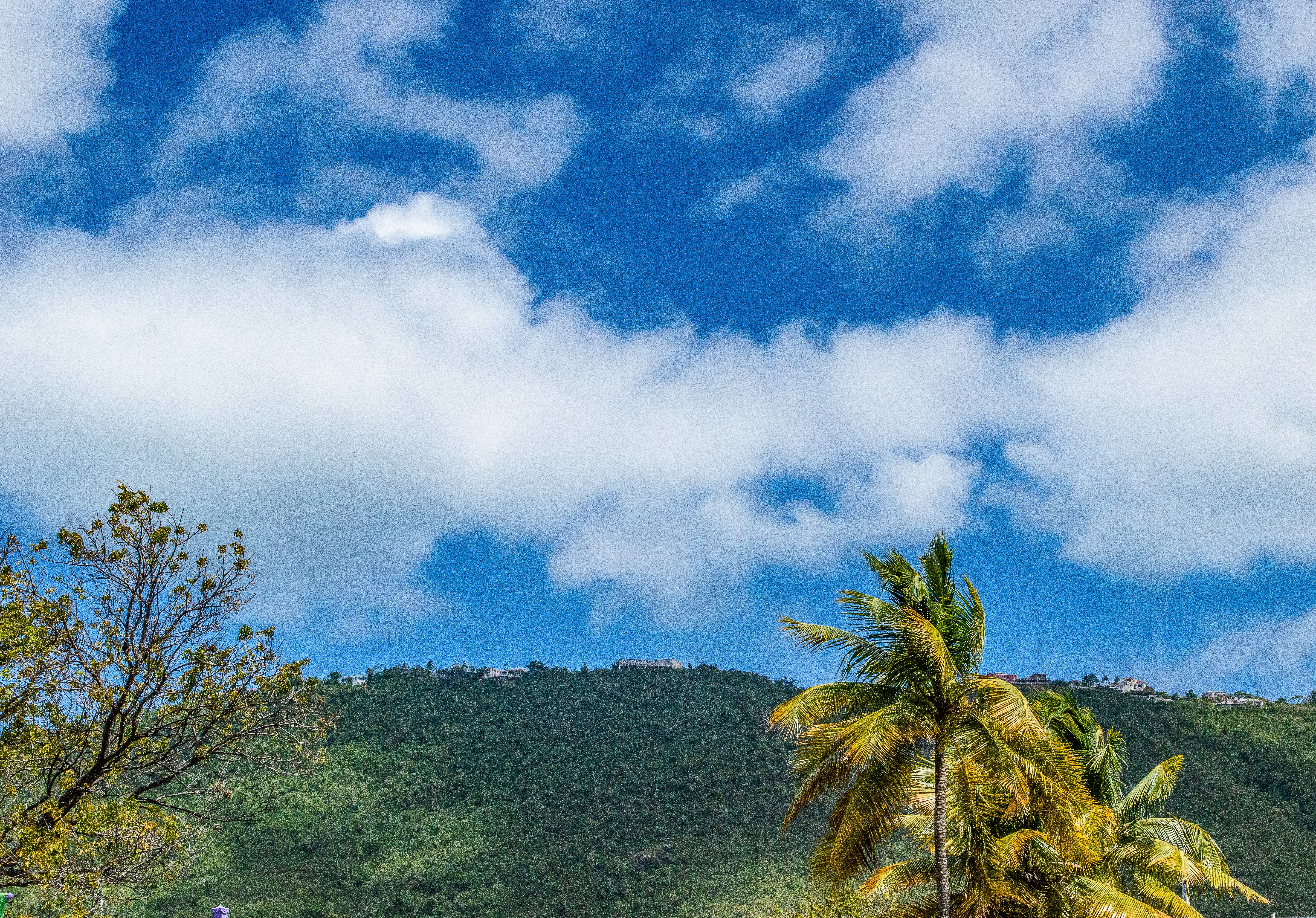 Photo by explorethewayside