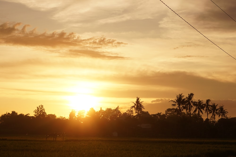 the sun is setting over a field with palm trees