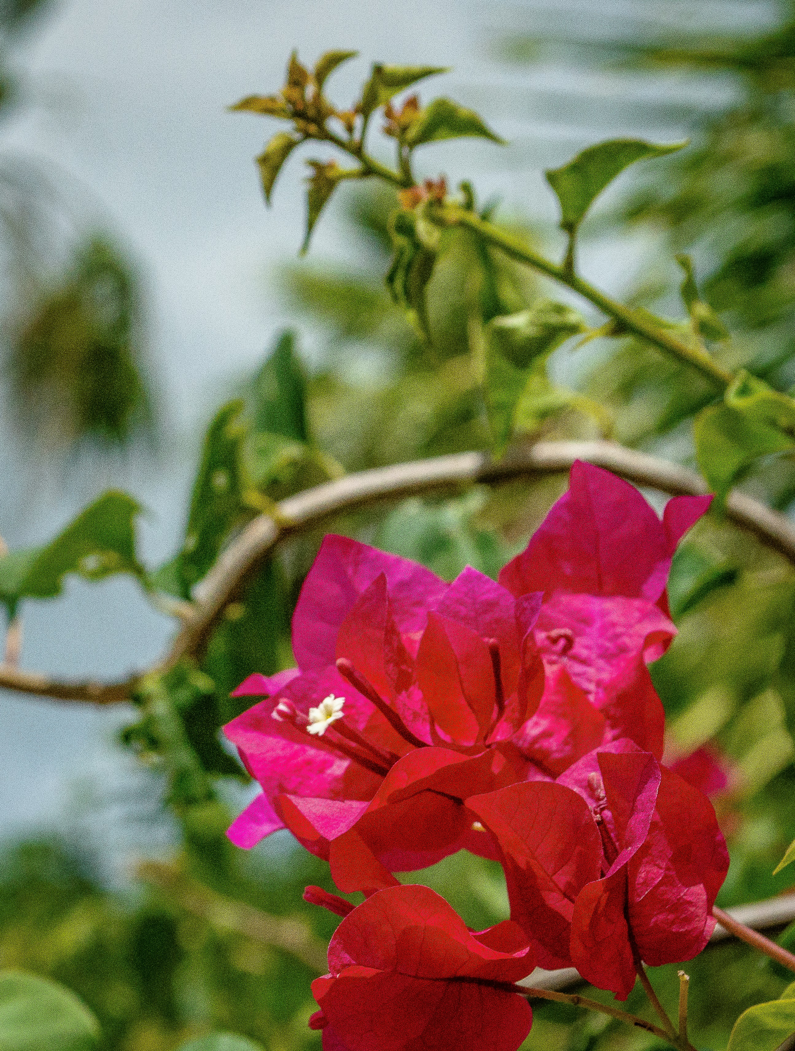 Photo by explorethewayside