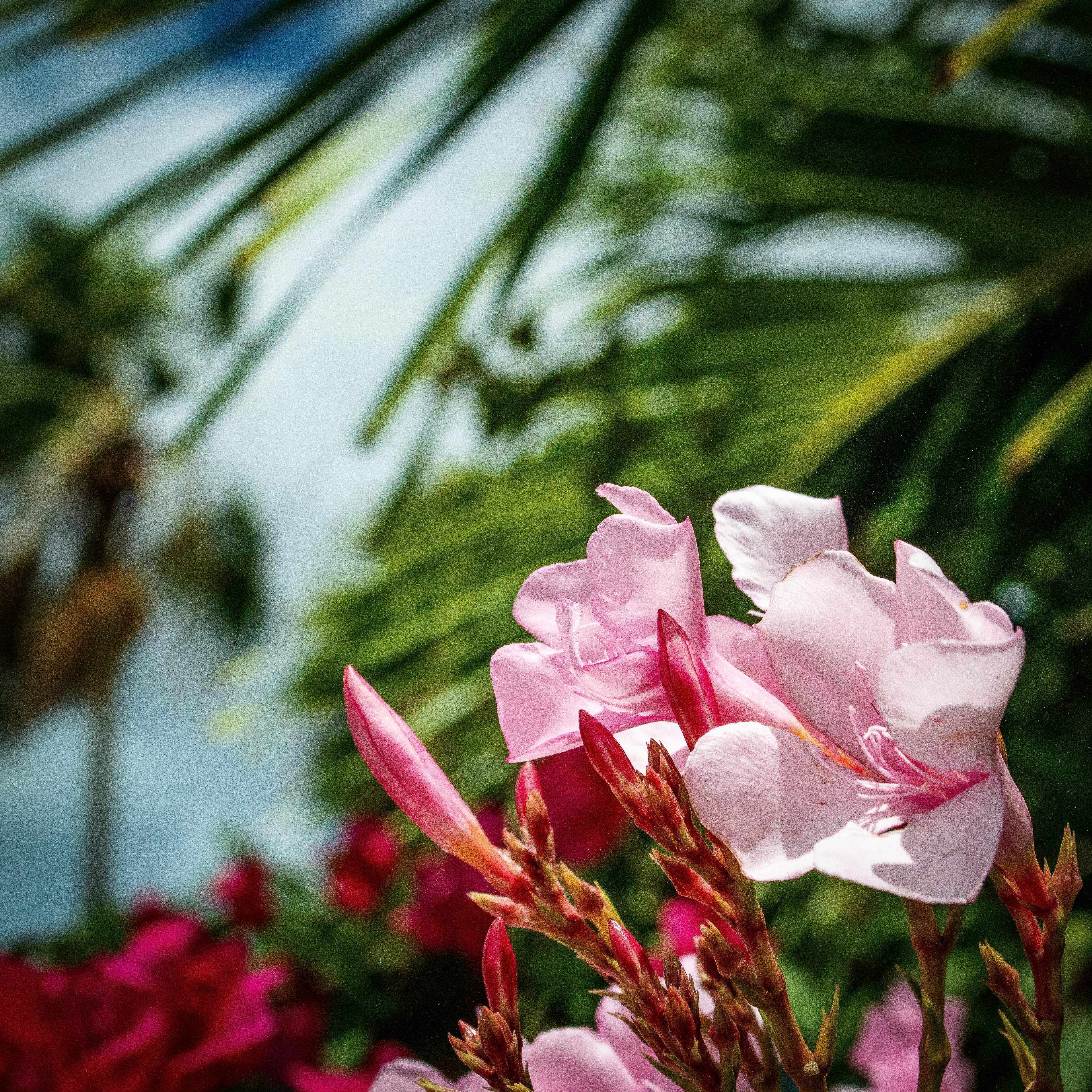 Photo by explorethewayside