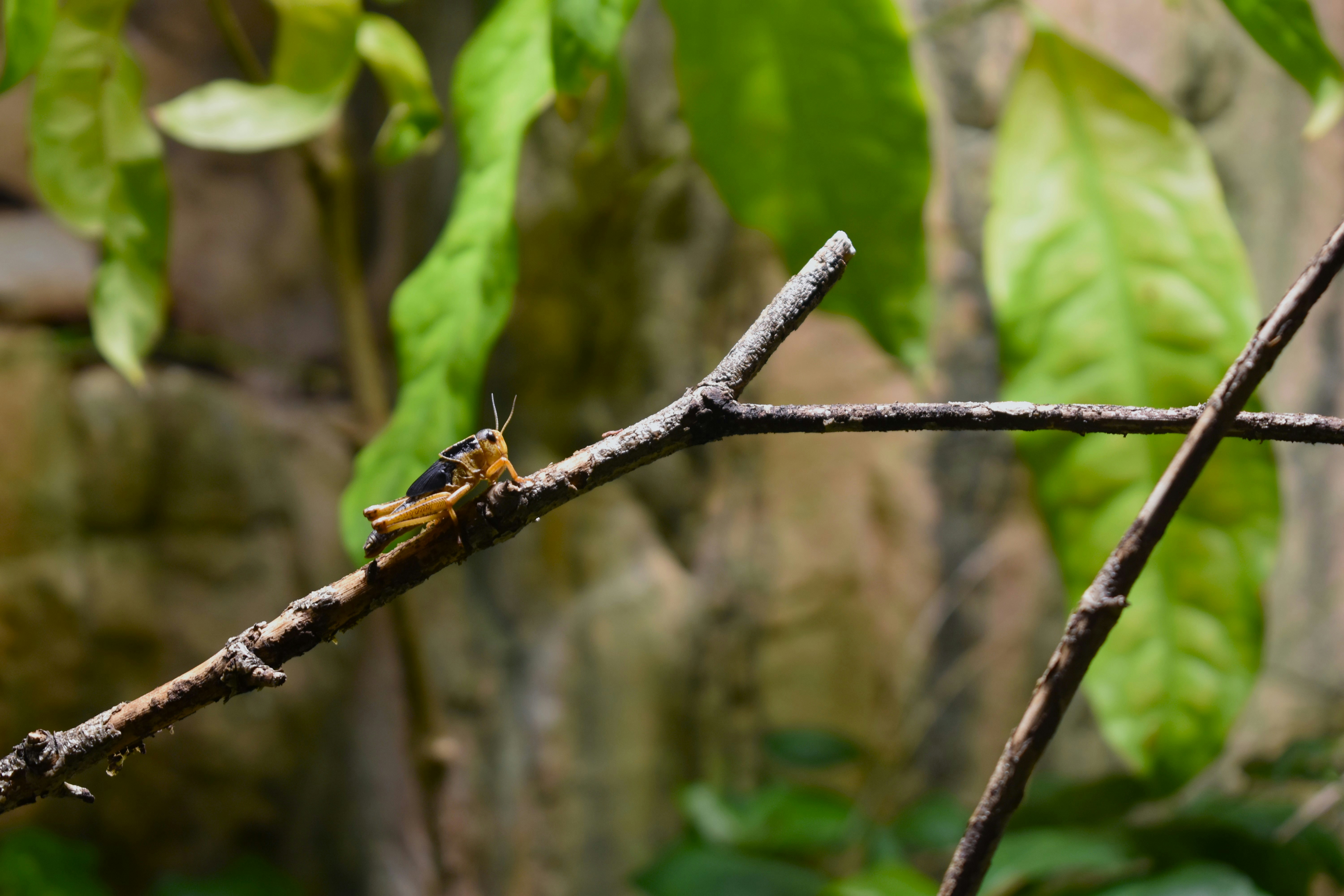 Photo by bo_schoonejans_photography