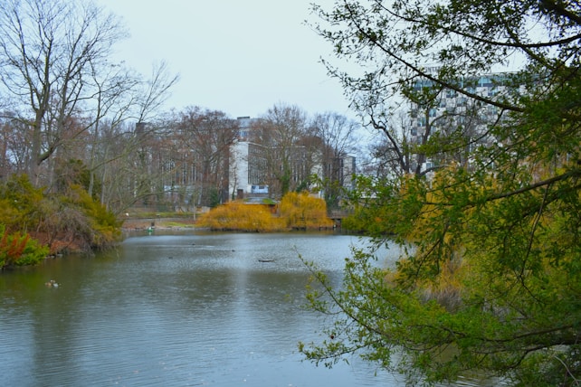 A serene pond surrounded by autumn trees and various shades of greenery. Buildings are visible in the background, partially obscured by the trees. The branches of a tree frame the image from the top right corner. The water reflects the surrounding colors and is calm, with a few small ripples.