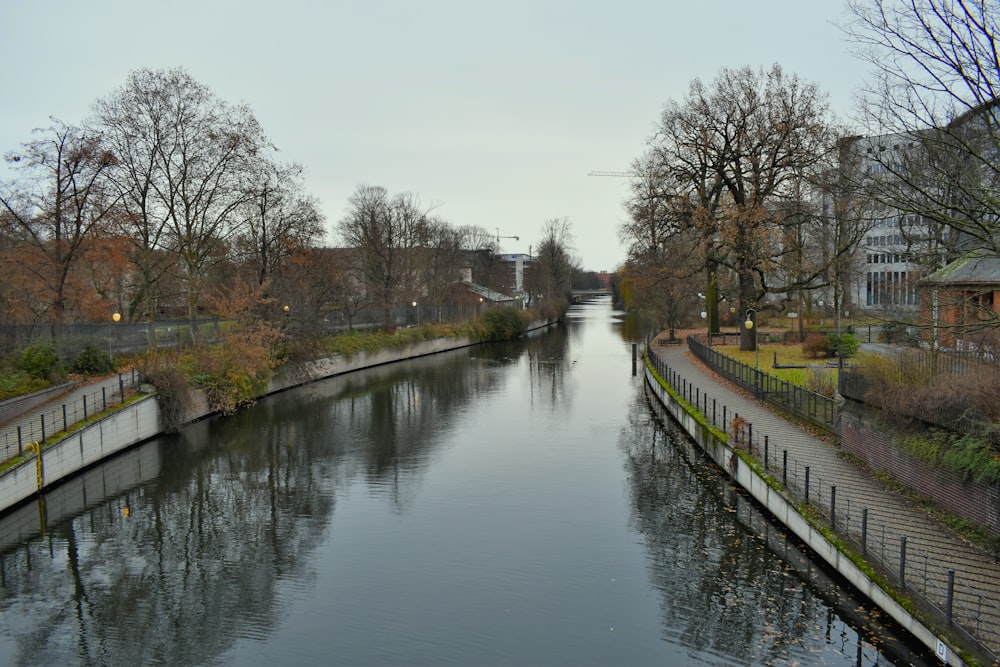 a river running through a lush green park