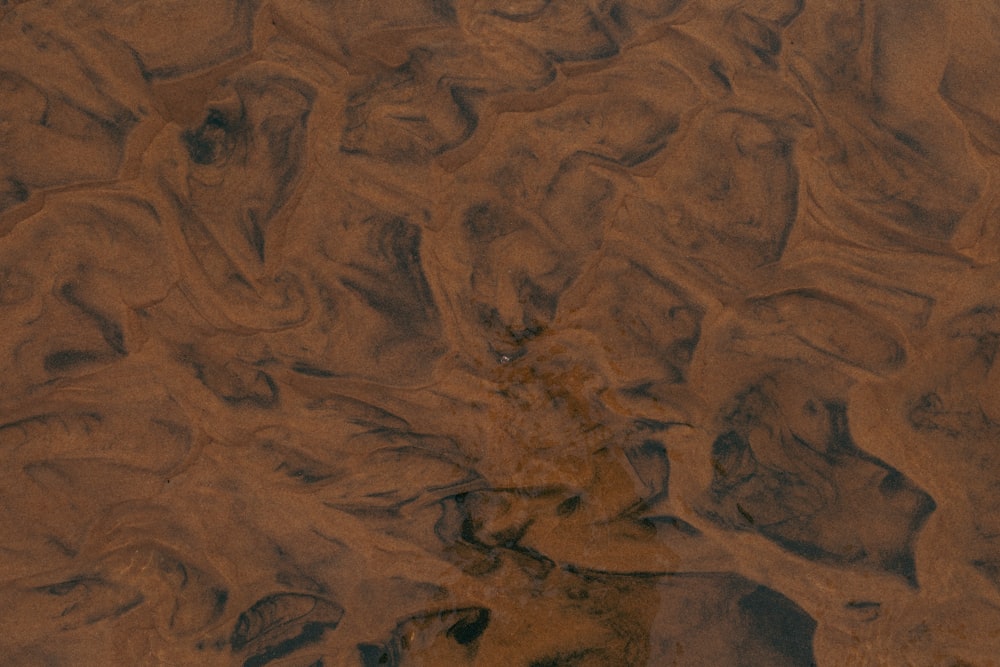 a close up of a brown and black substance